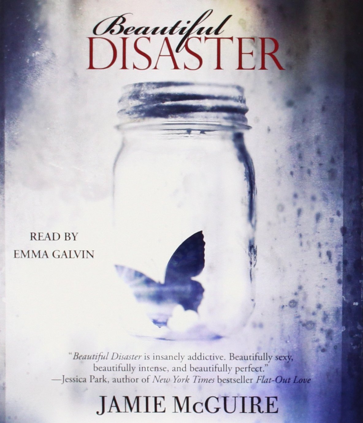 Beautiful Disaster,New