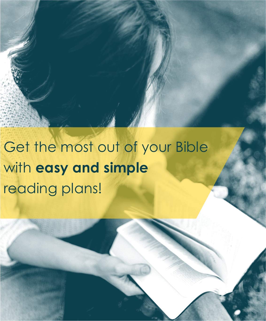 New Believer's Bible NLT (Softcover): First Steps for New Christians,Used