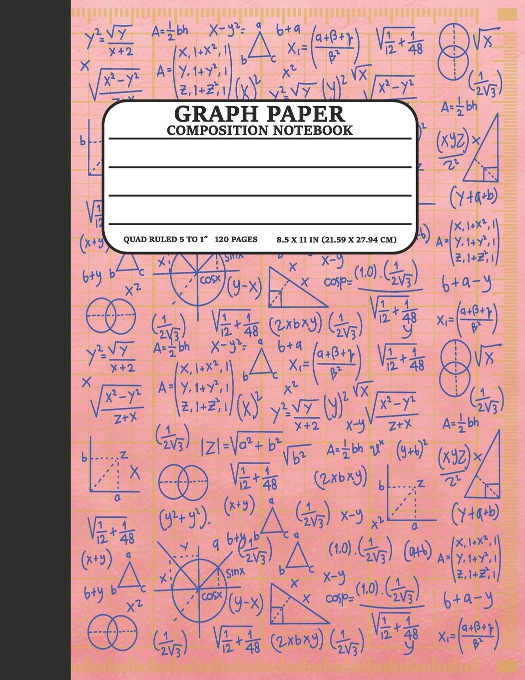 Graph Paper Composition Notebook: Math and Science Lover Marble Rose Gold Graph Paper Cover Notebook (Quad Ruled 5 squares per i,Used