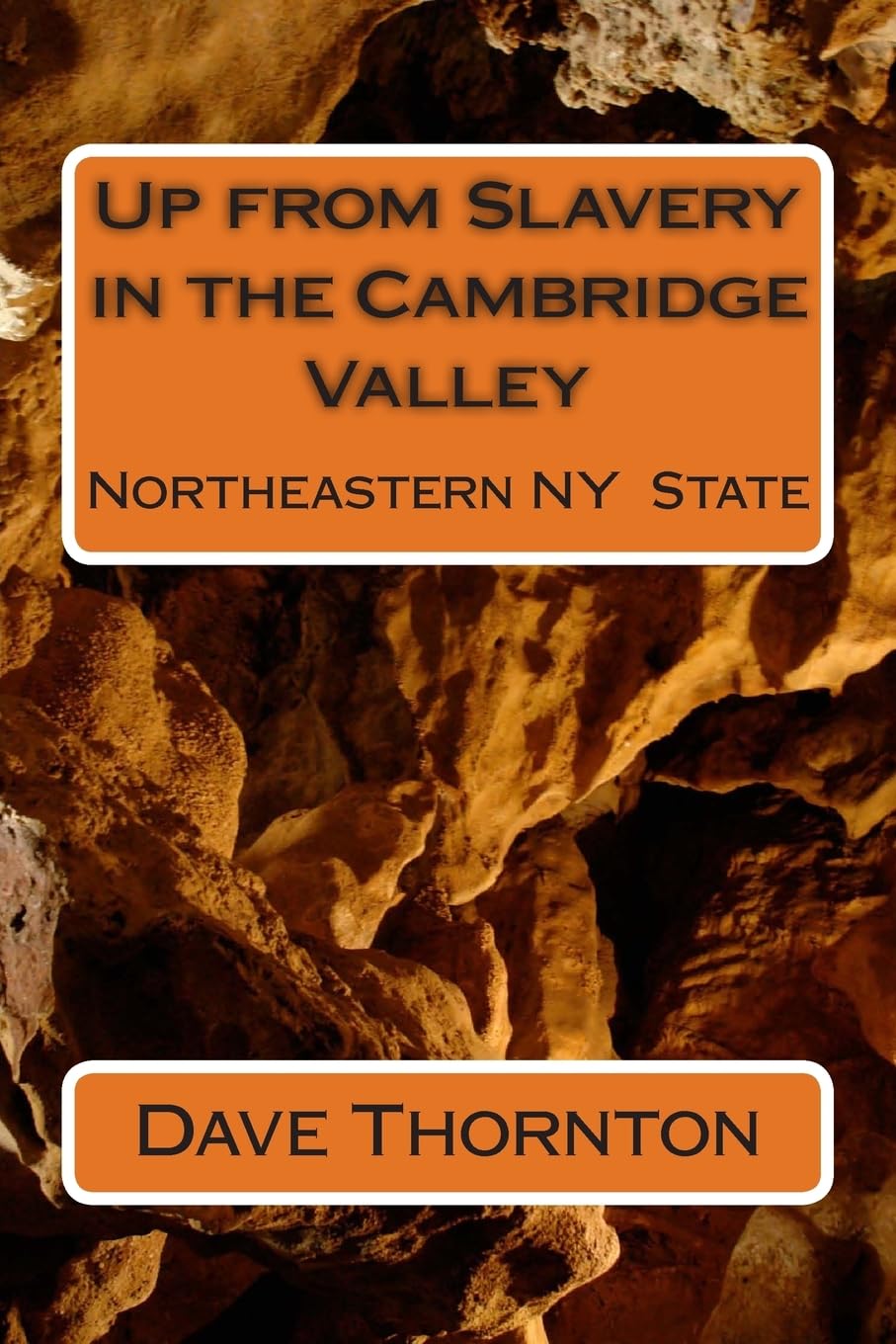 Up from Slavery in the Cambridge Valley (Cambridge, NY History),Used