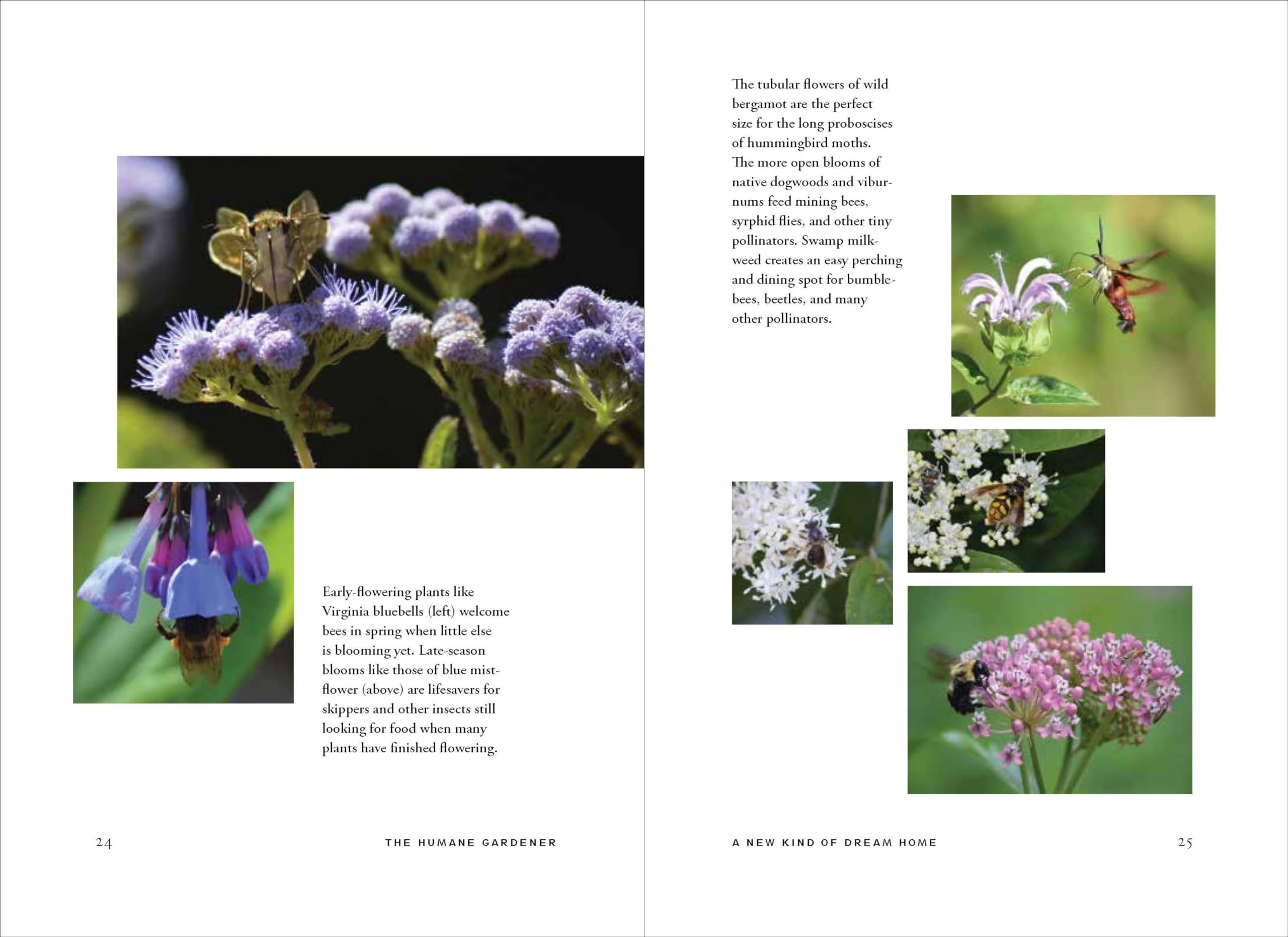 The Humane Gardener: Nurturing a Backyard Habitat for Wildlife (How to Create a Sustainable and Ethical Garden that Promotes Nat,New