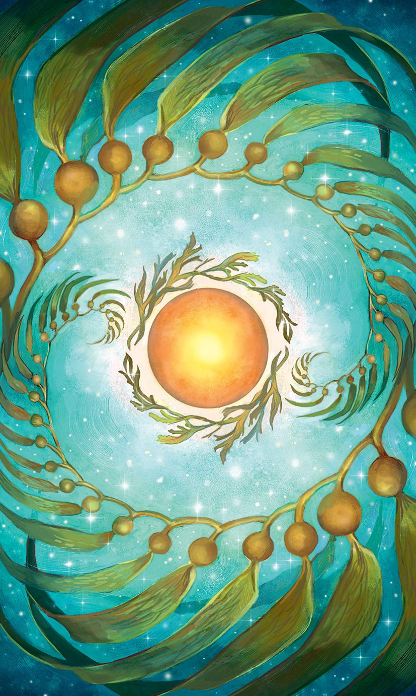 Mermaid Tarot,Used