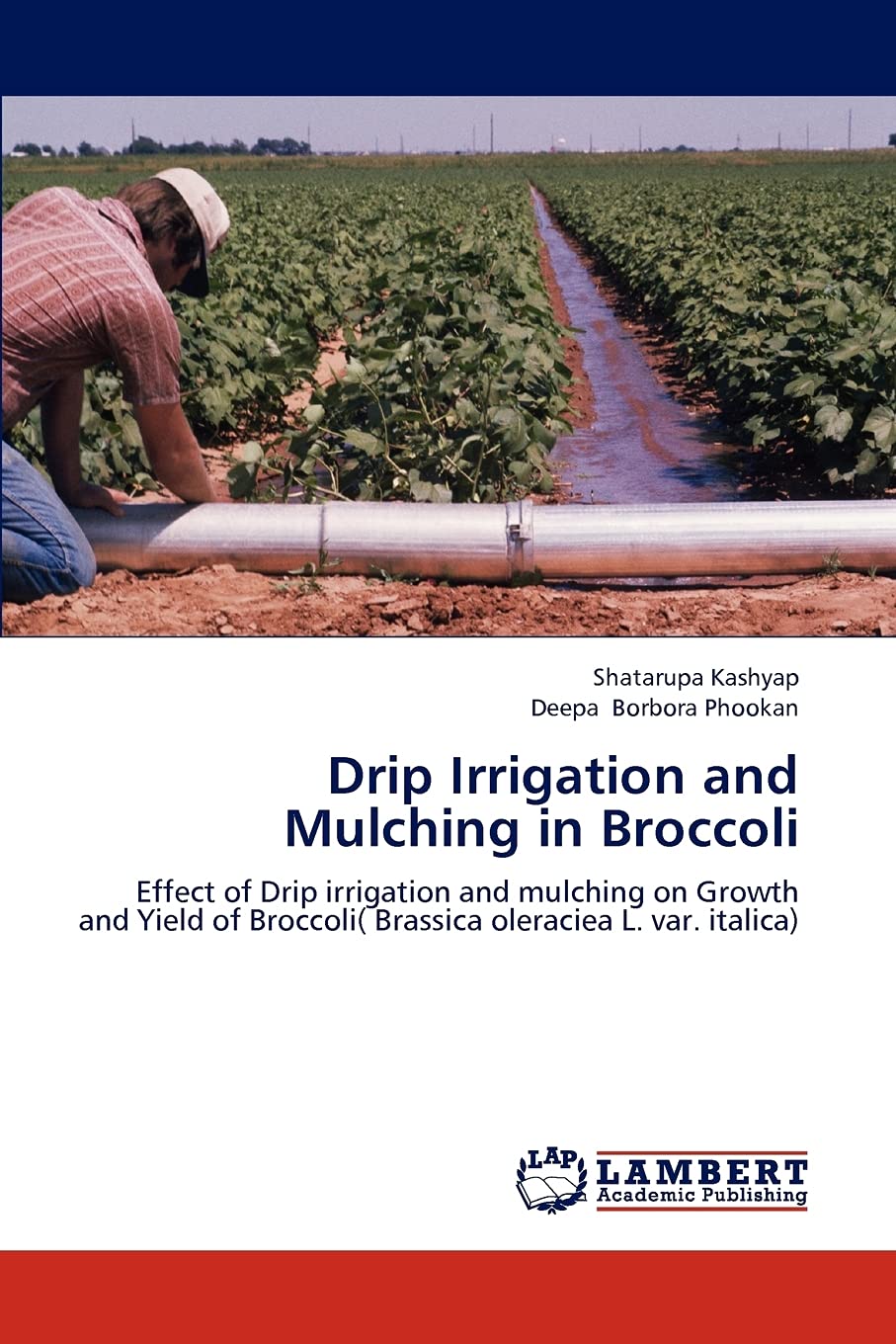 Drip Irrigation and Mulching in Broccoli: Effect of Drip irrigation and mulching on Growth and Yield of Broccoli( Brassica olera,Used