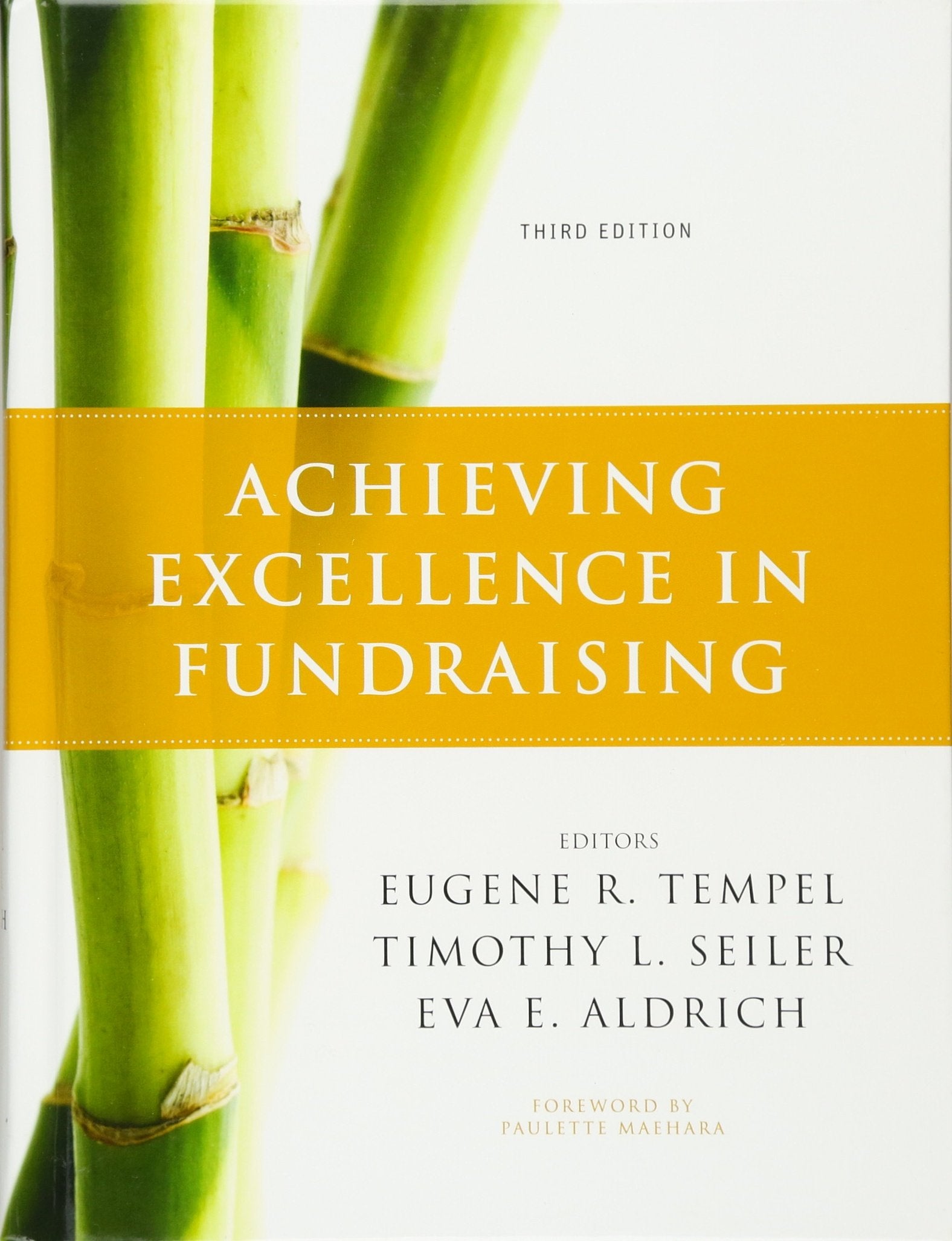Achieving Excellence in Fundraising + Website,Used