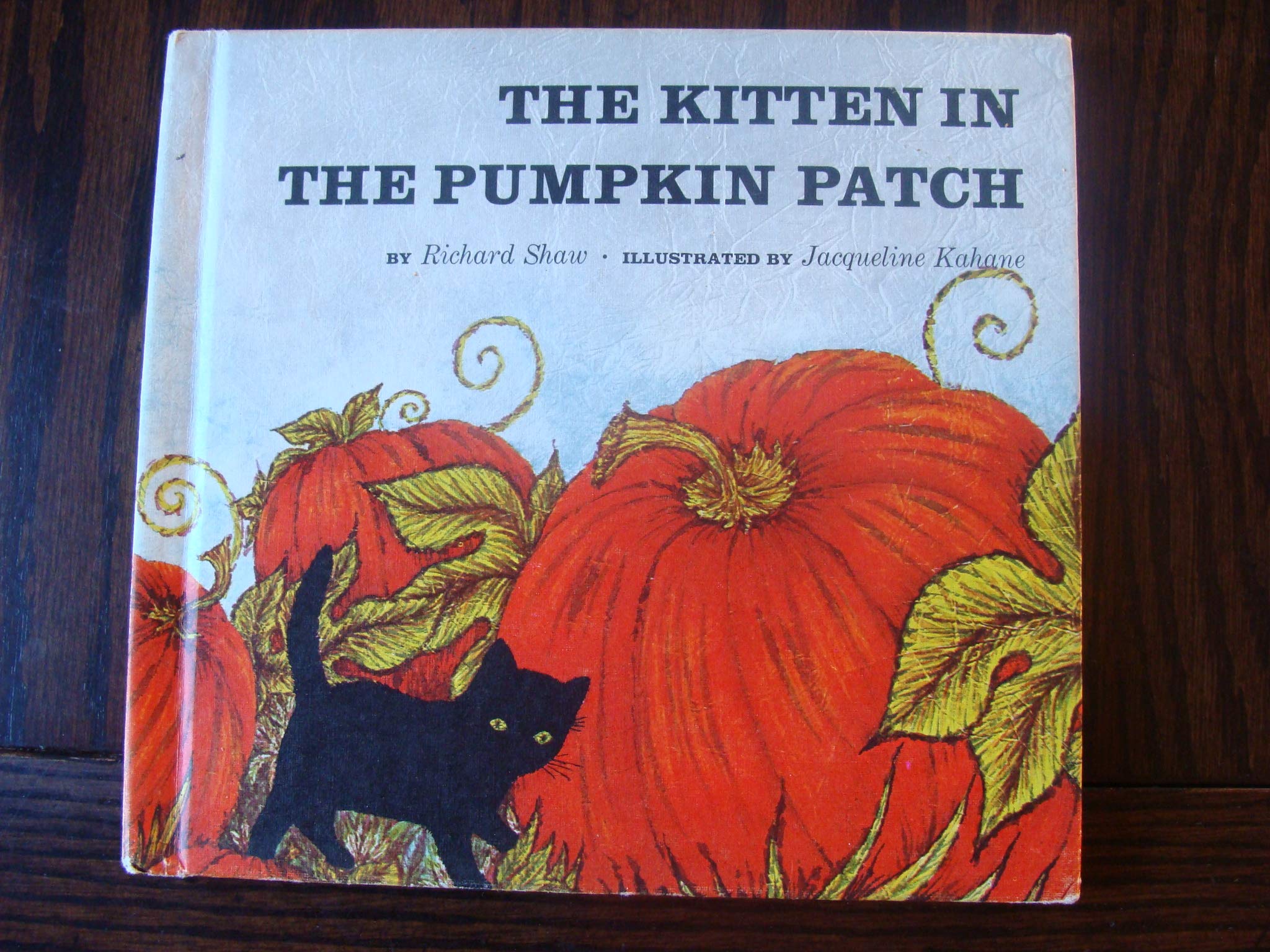 Kitten in the Pumpkin,Used