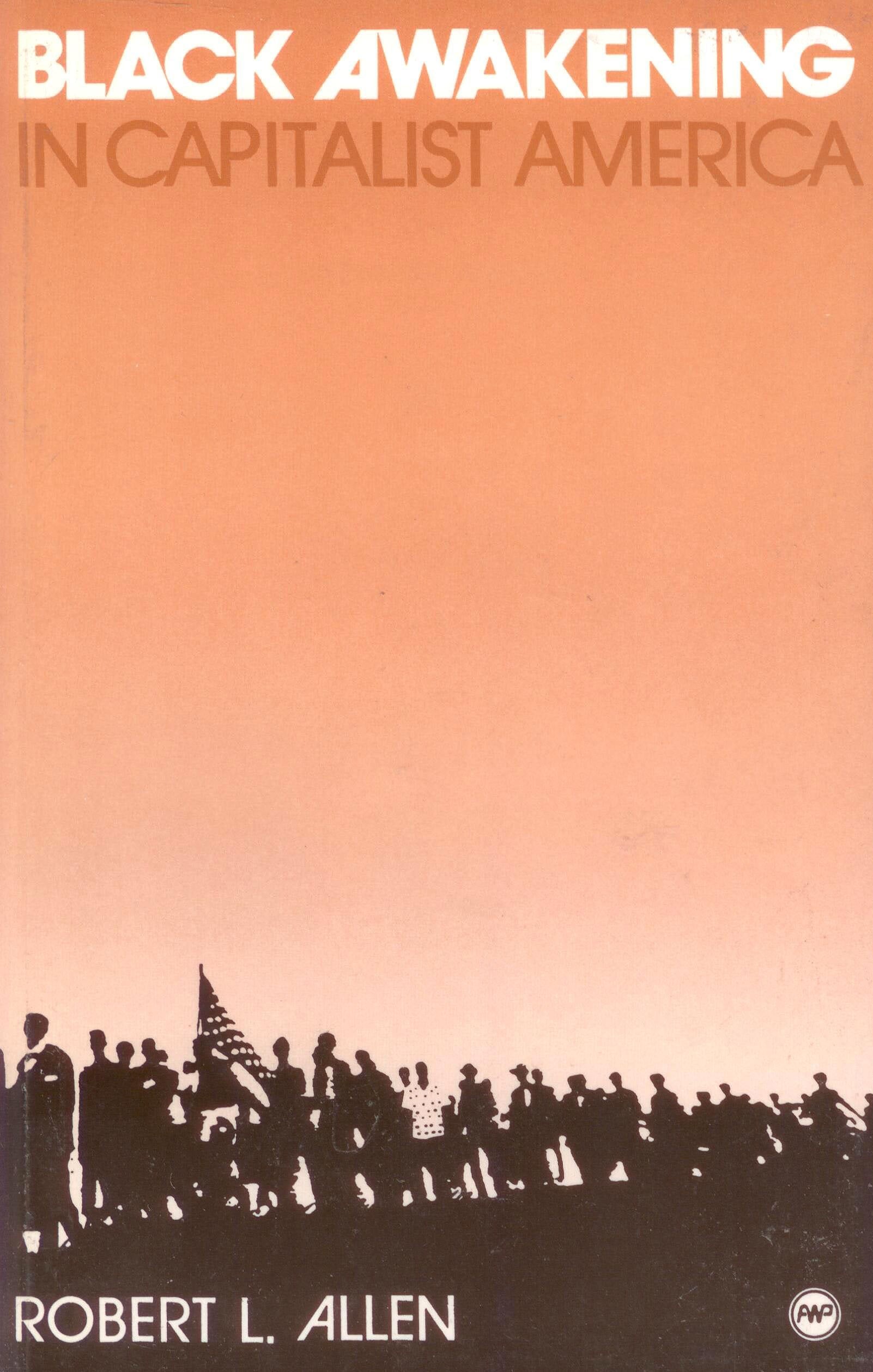 Black Awakening in Capitalist America: An Analytic History,Used