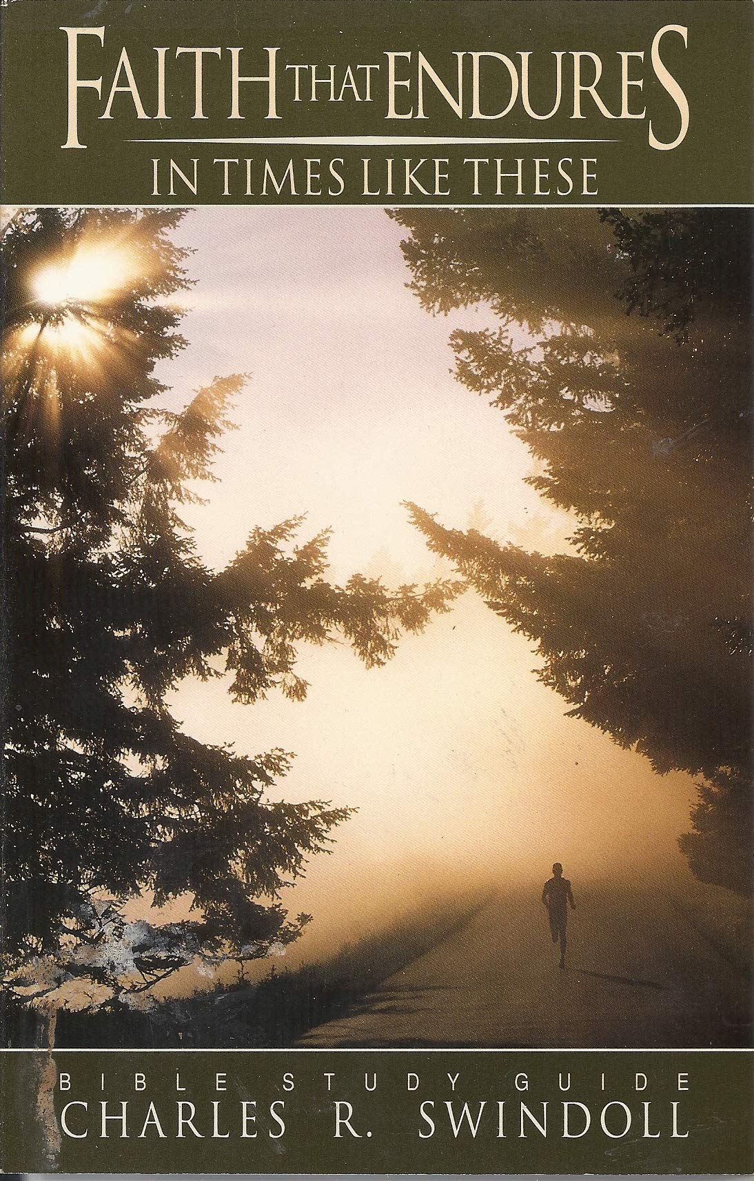 Faith That Endures: In Times Like These (Bible Study Guide),Used