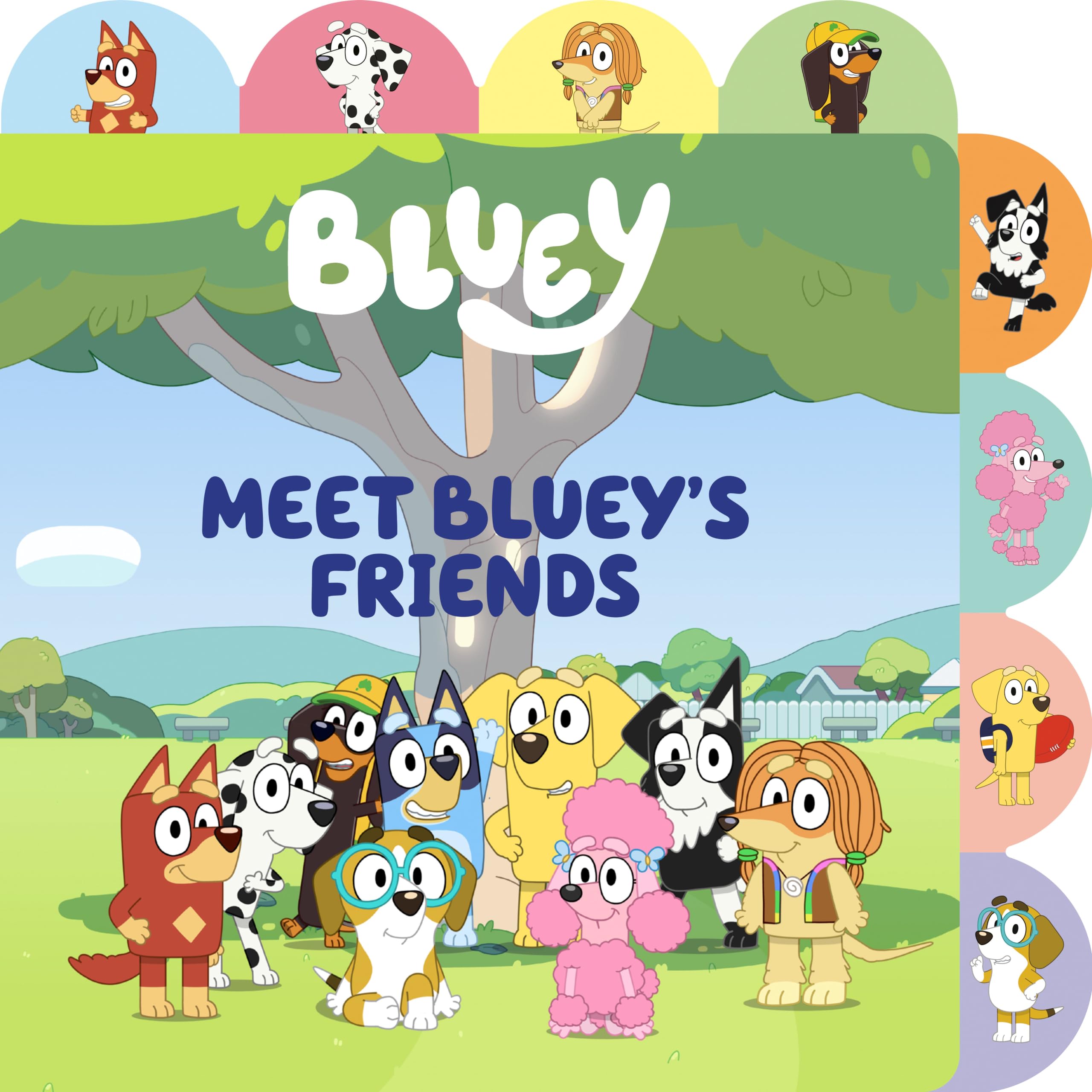 Meet Bluey's Friends: A Tabbed Board Book,New