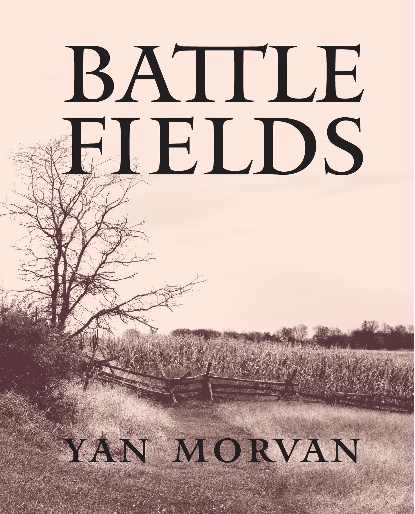 Battlefields,New