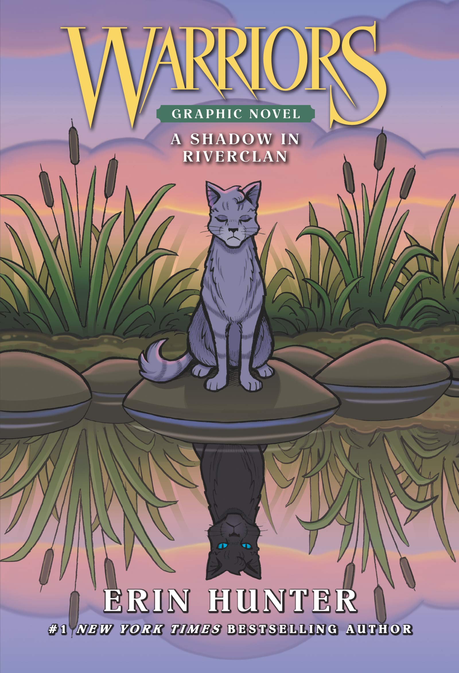 Warriors: A Shadow in RiverClan (FullColor Adventure),New
