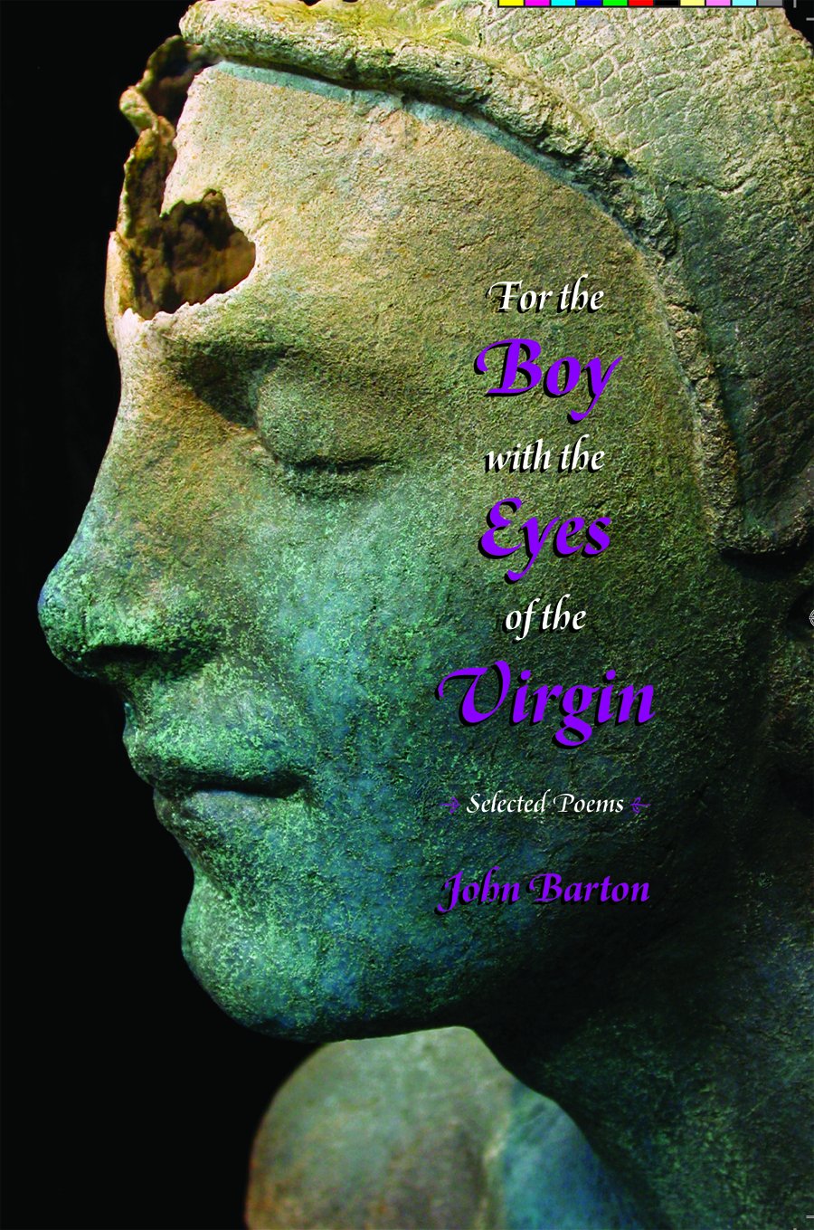 For The Boy With The Eyes Of The Virgin: Selected Poems,New
