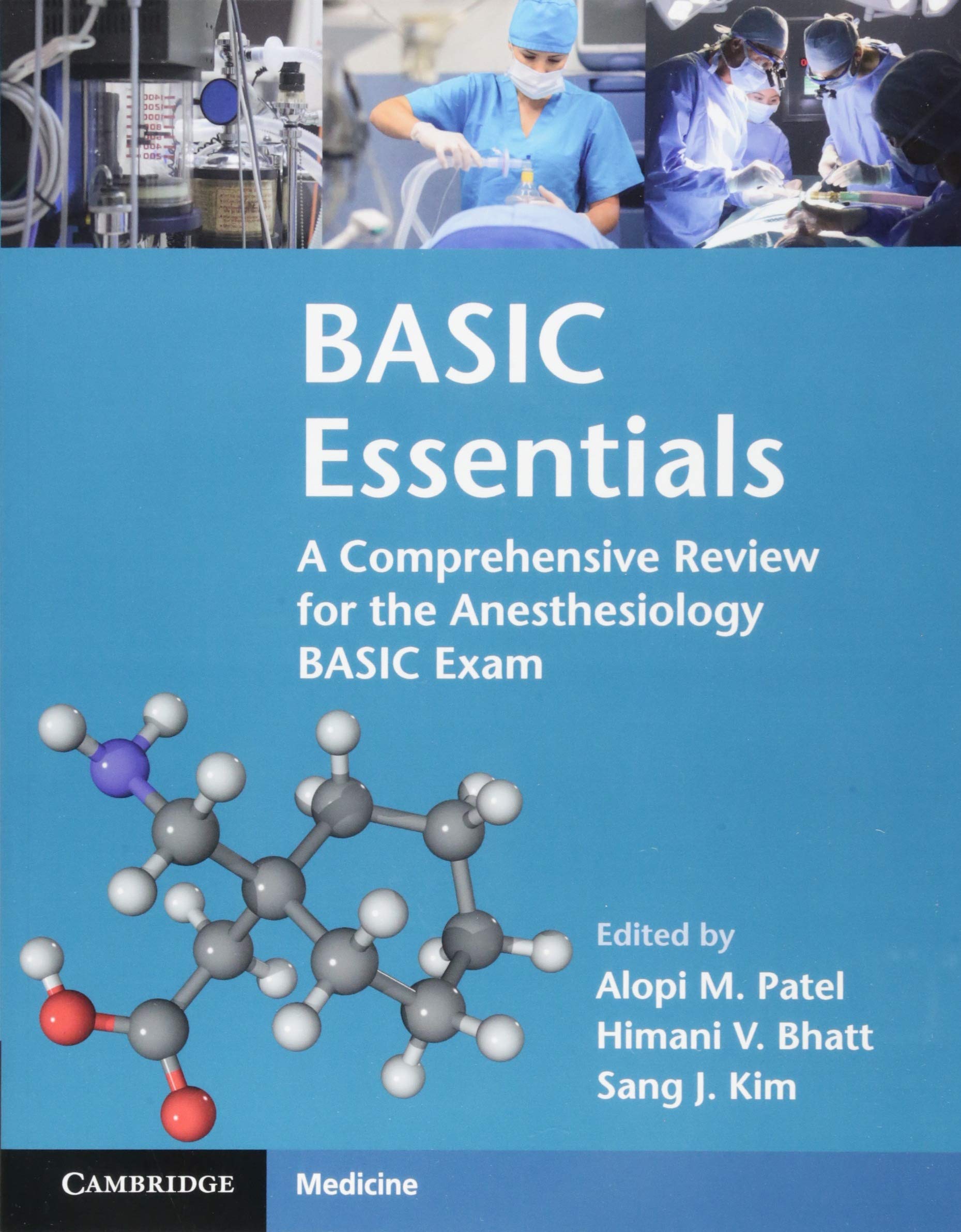 BASIC Essentials: A Comprehensive Review for the Anesthesiology BASIC Exam,Used