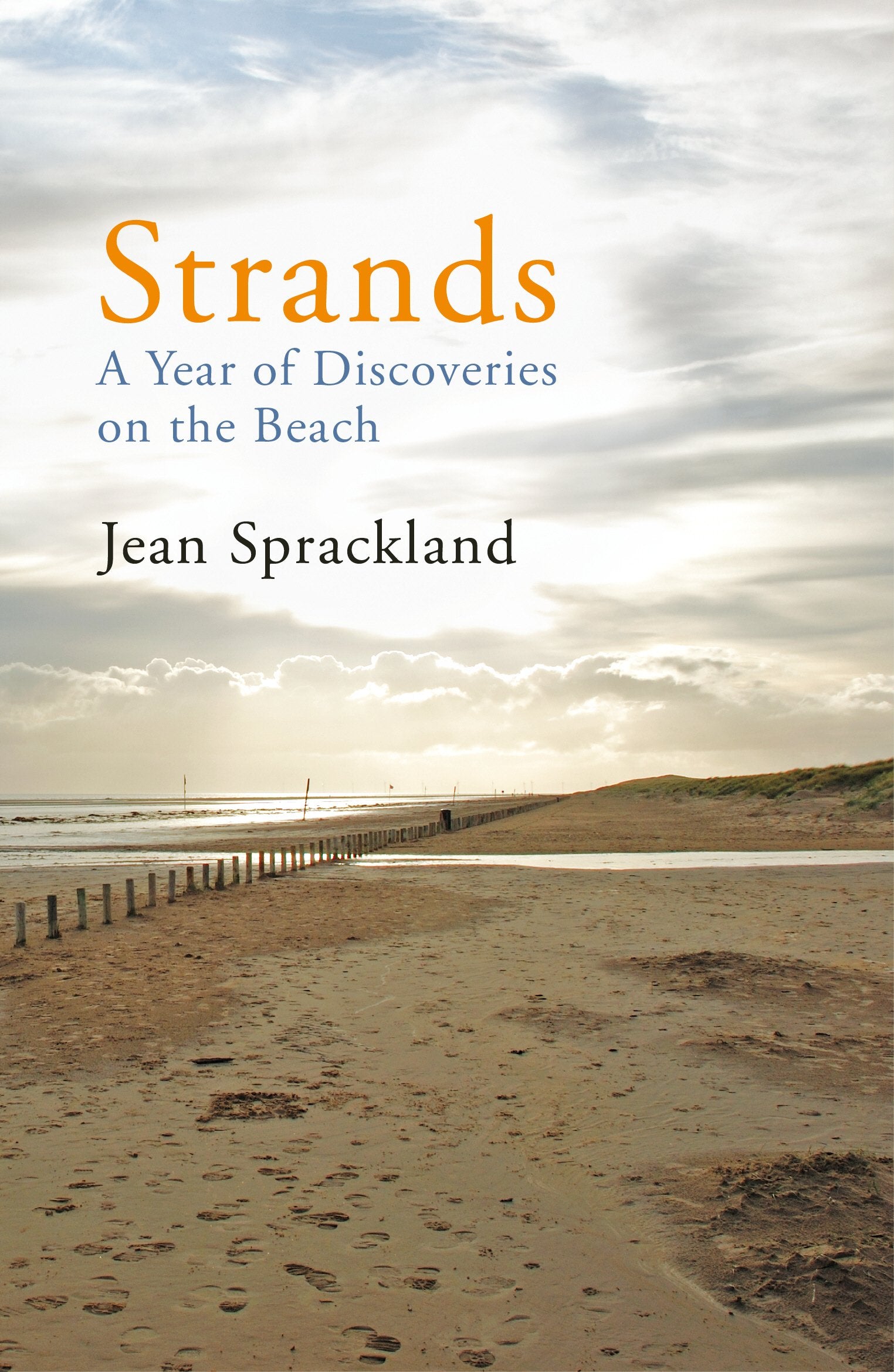 Strands: A Year of Discoveries on the Beach,Used
