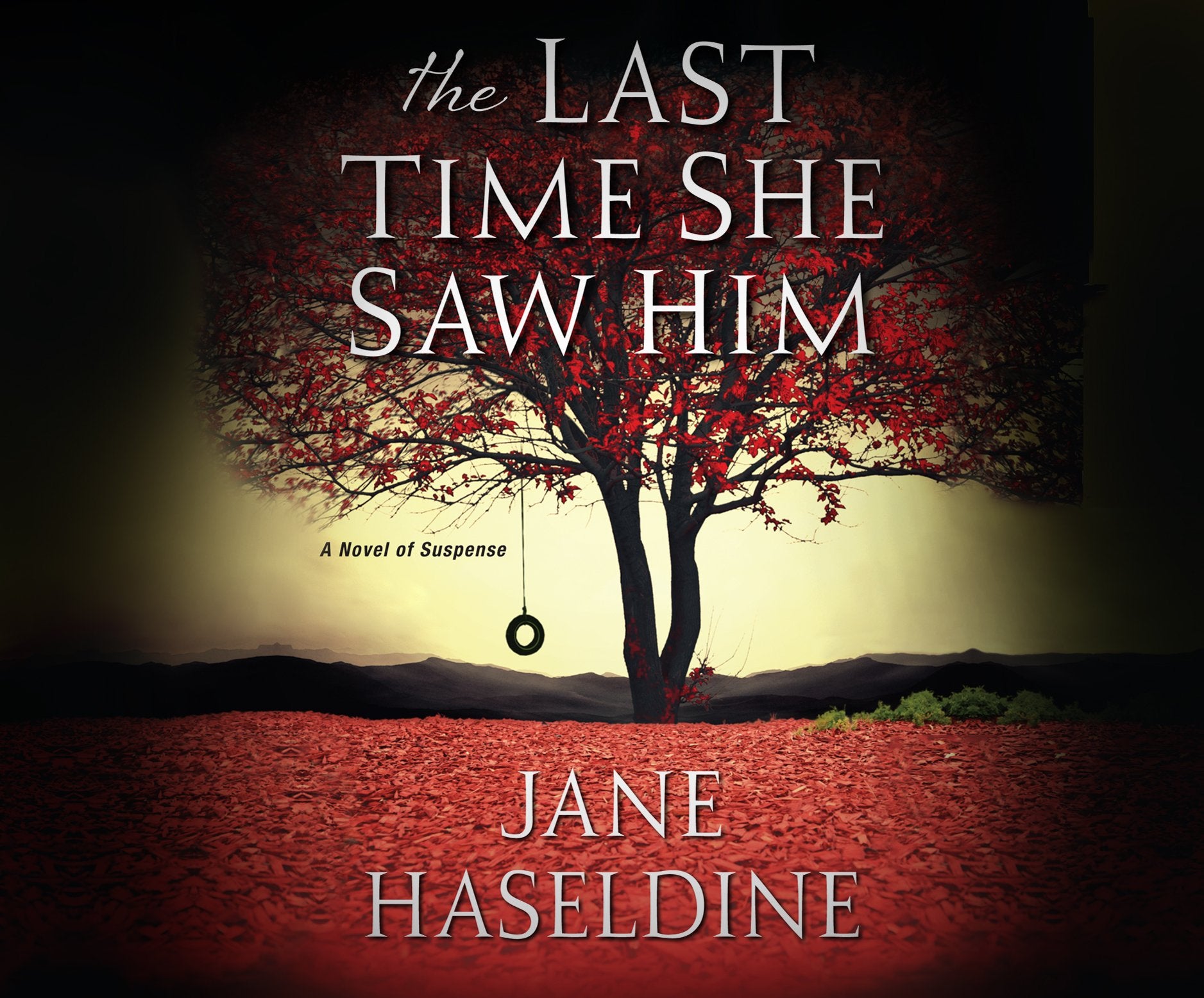 The Last Time She Saw Him (Julia Gooden Mysteries, 1),Used