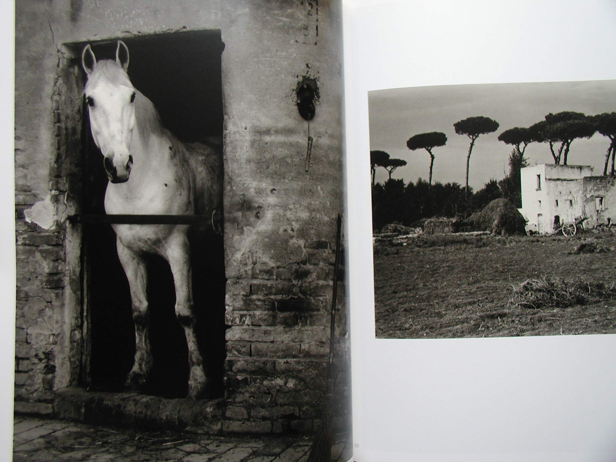 Paul Strand: The World on My Doorstep (APERTURE),Used
