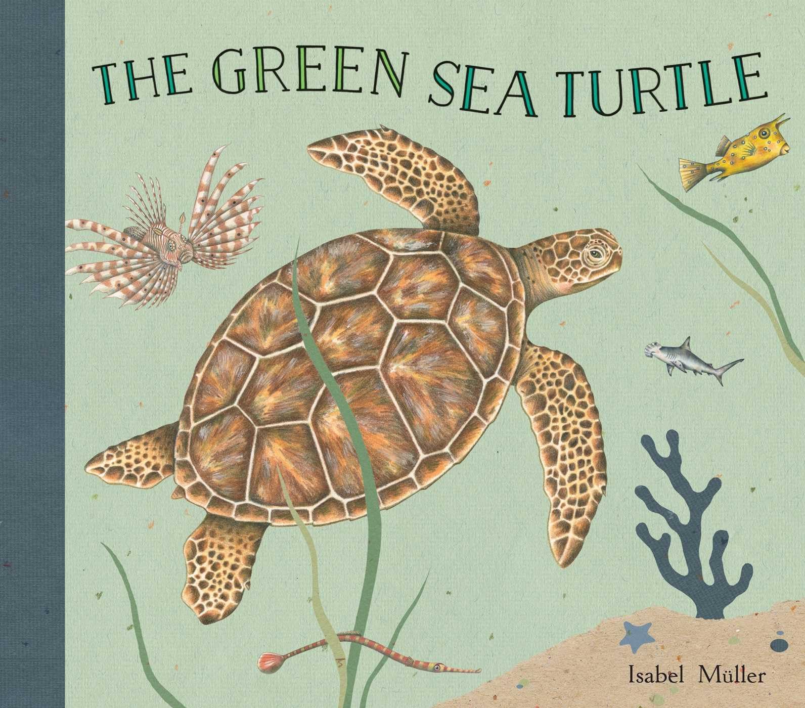 The Green Sea Turtle,Used