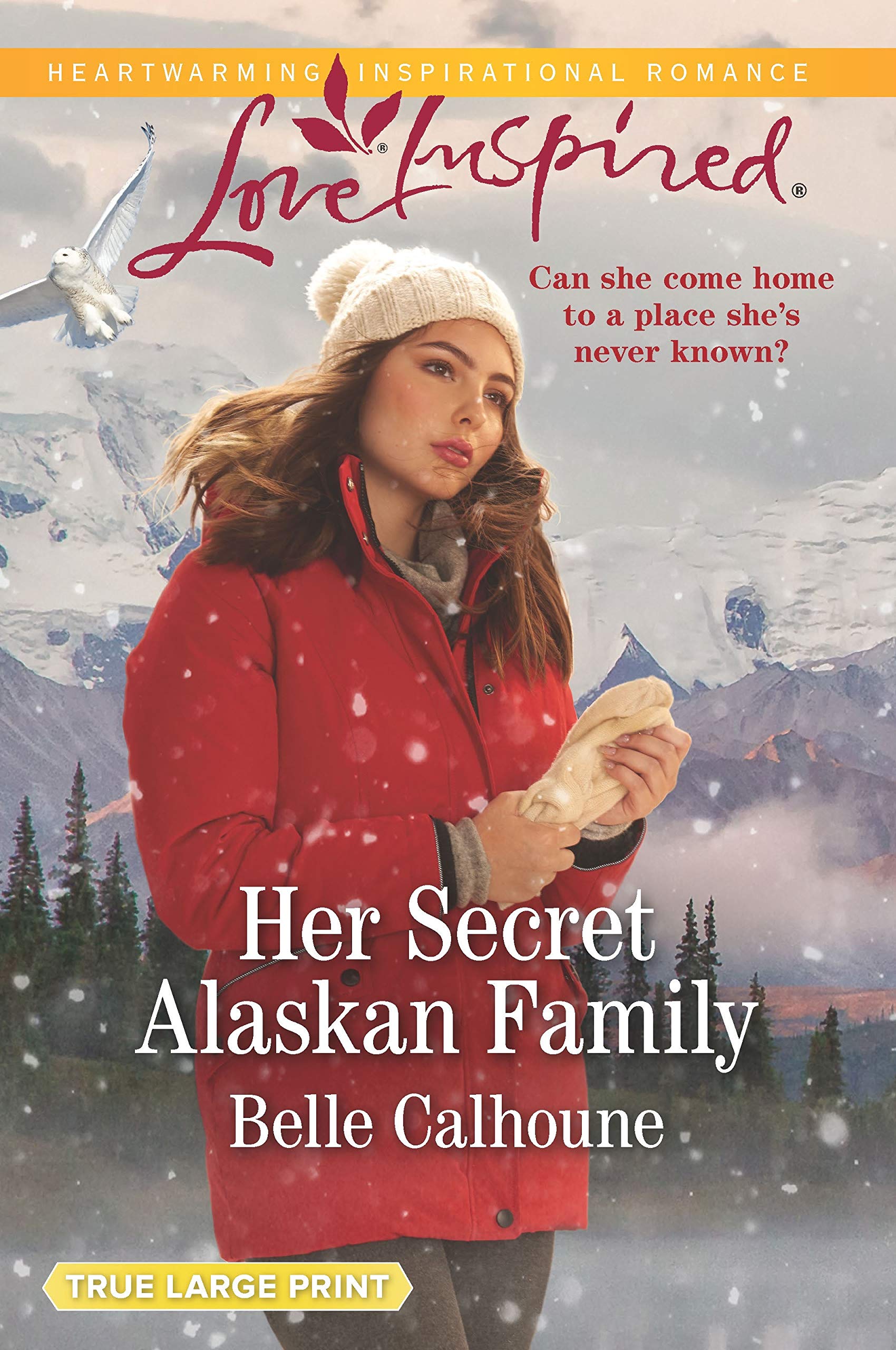 Her Secret Alaskan Family (Home to Owl Creek, 1),Used