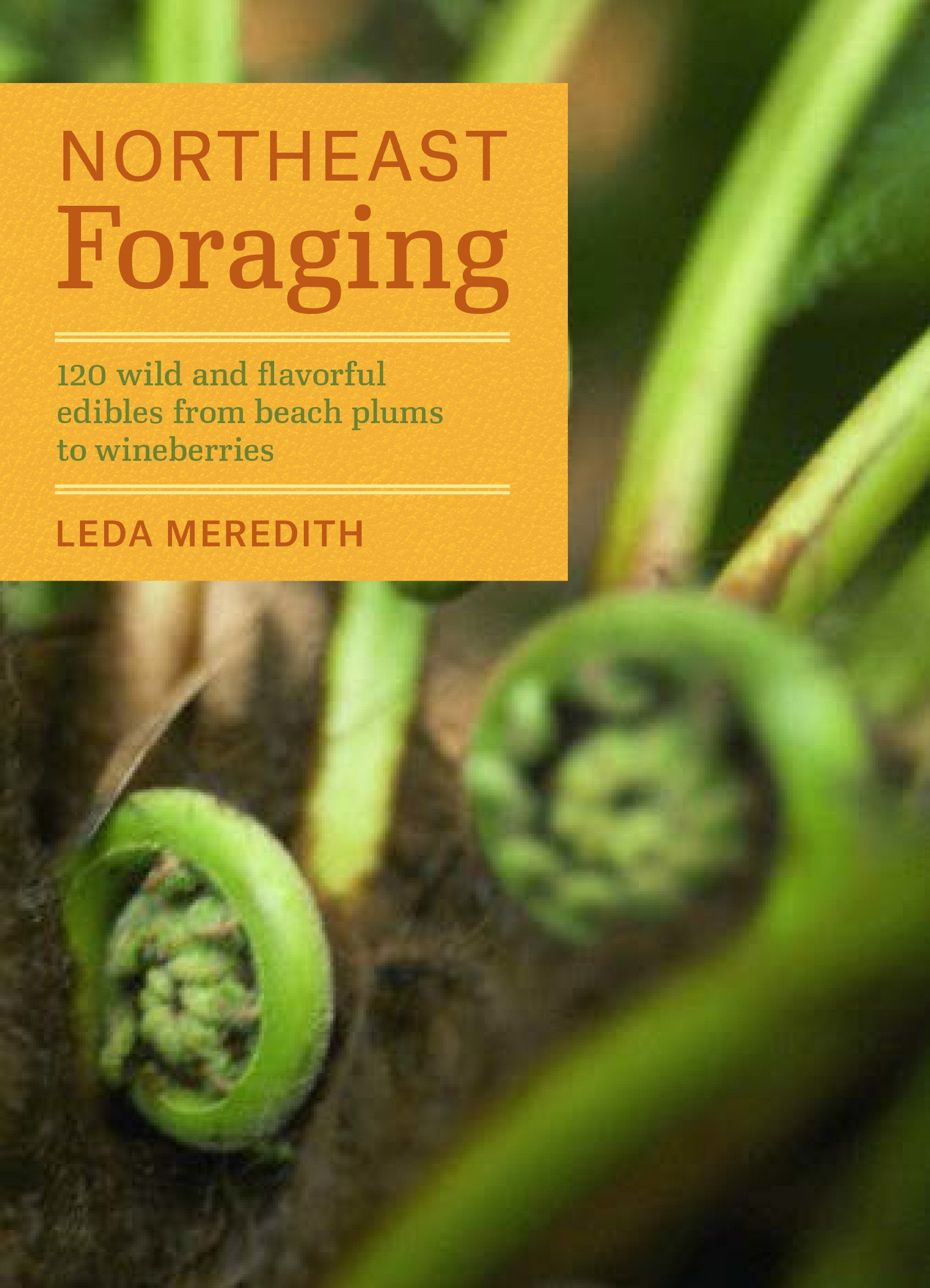 Northeast Foraging: 120 Wild and Flavorful Edibles from Beach Plums to Wineberries (Regional Foraging Series),New