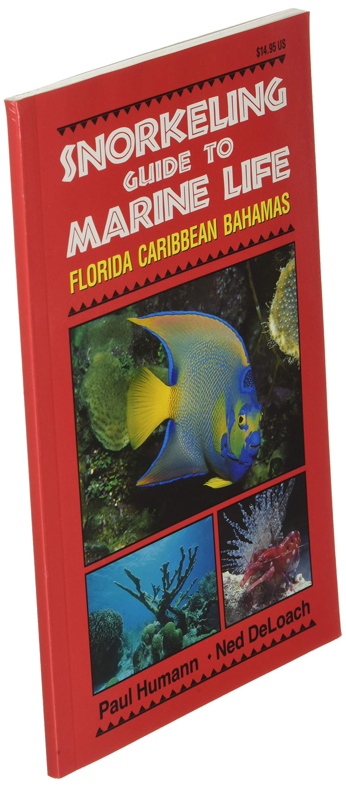 Snorkeling Guide to Marine Life Florida, Caribbean, Bahamas,Used