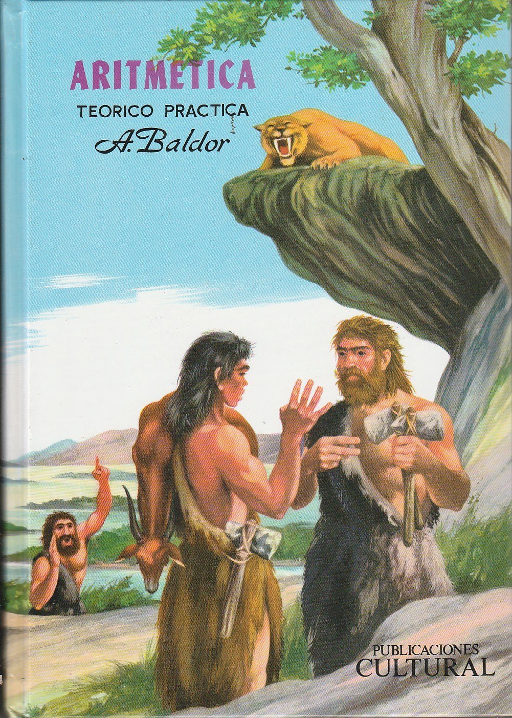 Aritmetica : Teorico, Practica : Con 7008 Ejercicios Y Problemas (Spanish Edition),Used