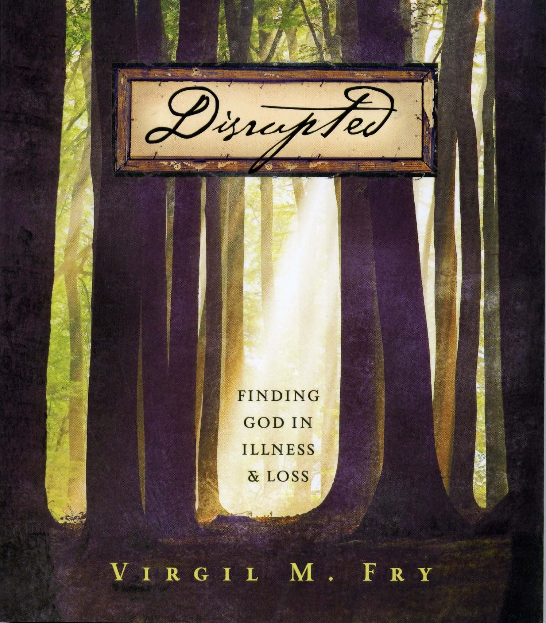 Disrupted: Finding God in Illness and Loss,Used