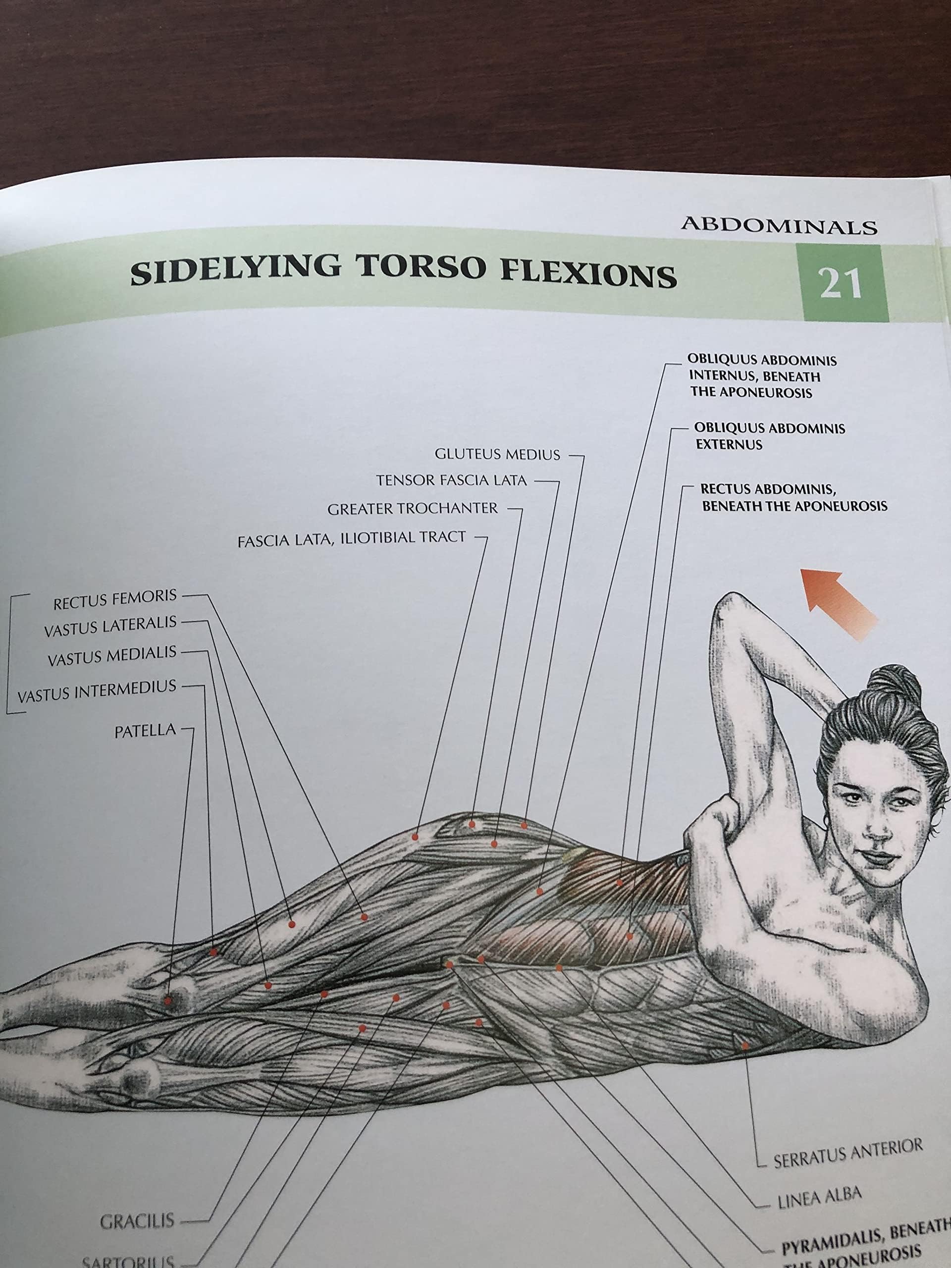 Women's Strength Training Anatomy,New