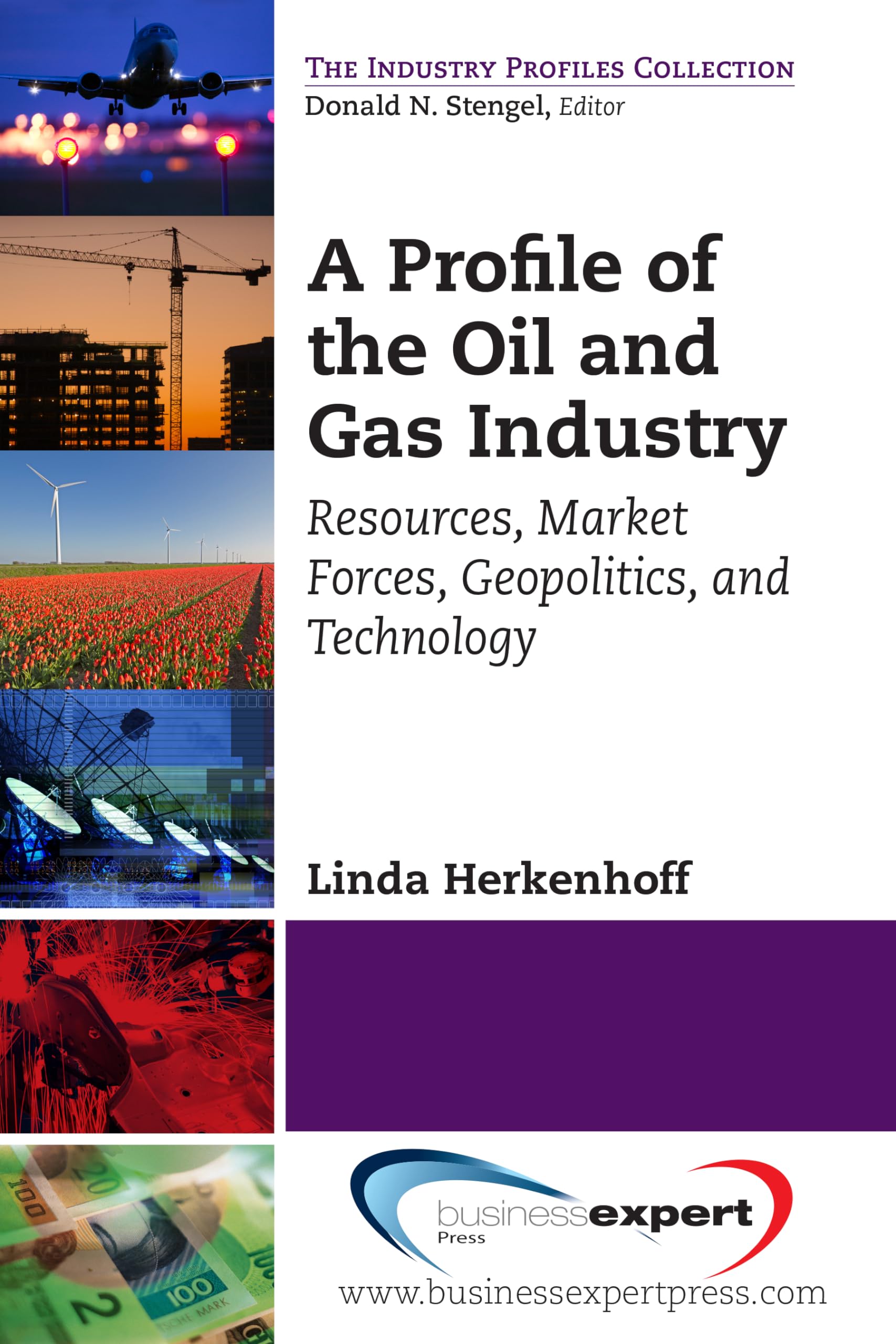 A Profile Of The Oil And Gas Industry (Industry Profiles),Used