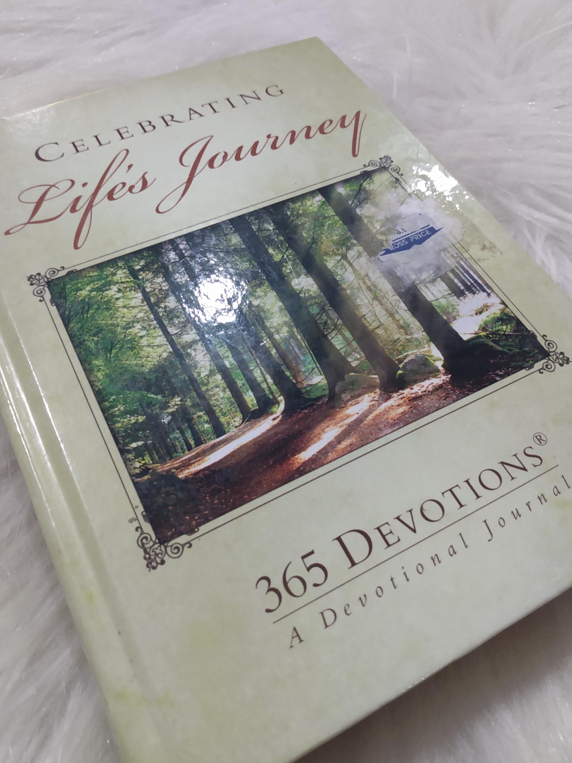 Celebrating Life s Journey (365 Devotions a Devotional Journal),Used