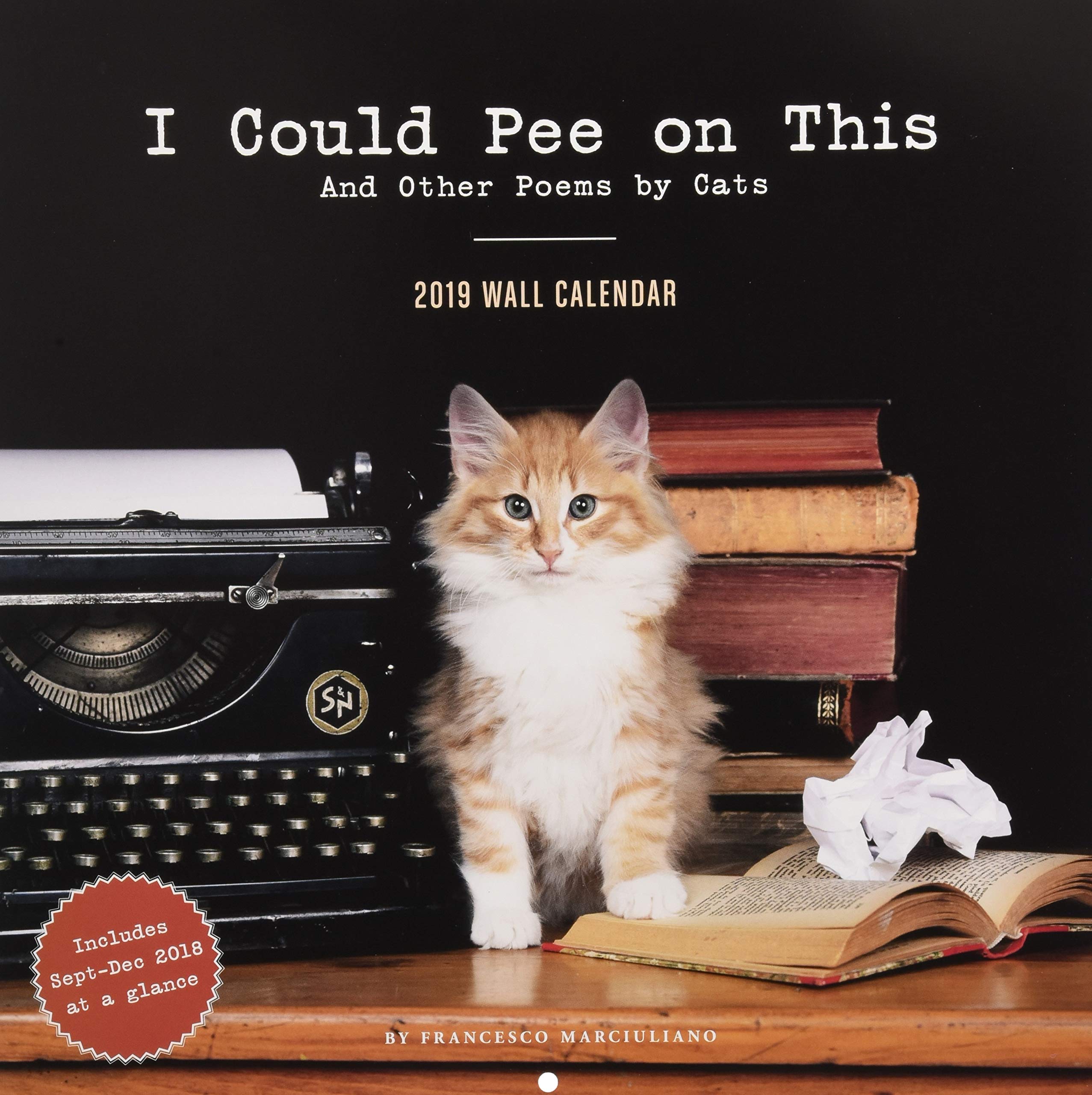 I Could Pee On This 2019 Wall Calendar