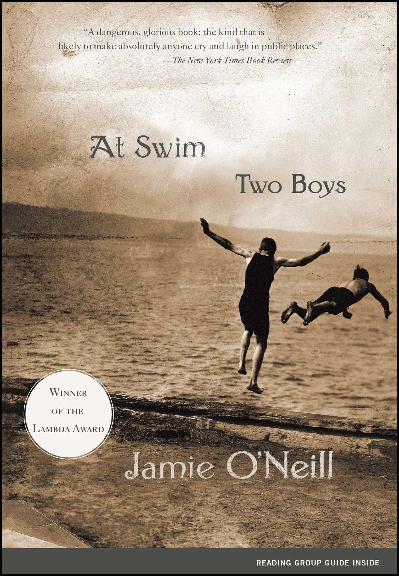 At Swim, Two Boys: A Novel (Awardwinning Fiction)