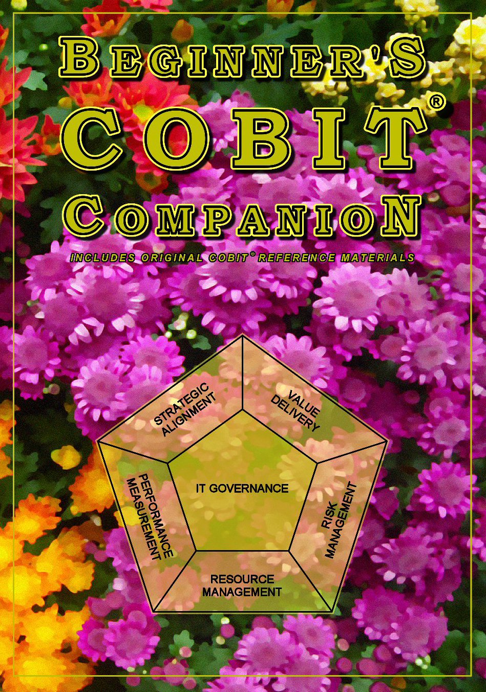 Beginner'S Cobit Companion