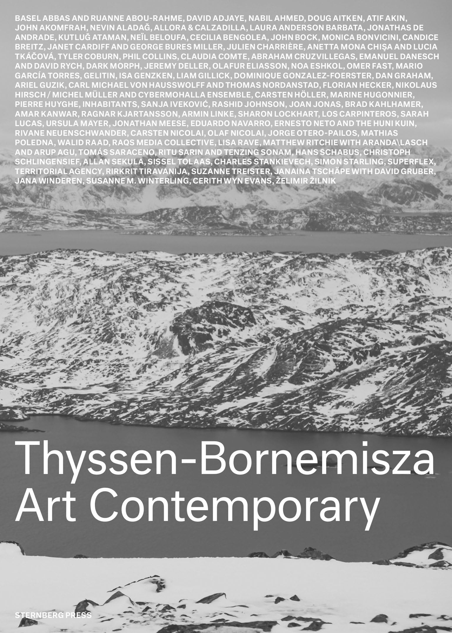 ThyssenBornemisza Art Contemporary: The Commissions Book,Used