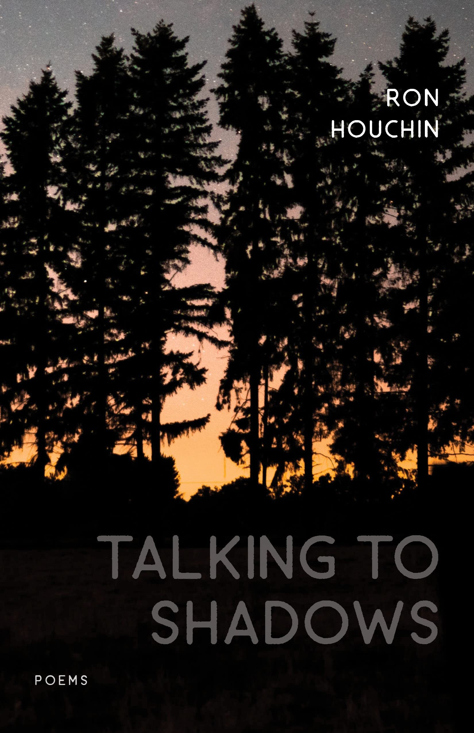 Talking To Shadows: Poems (Southern Messenger Poets),Used