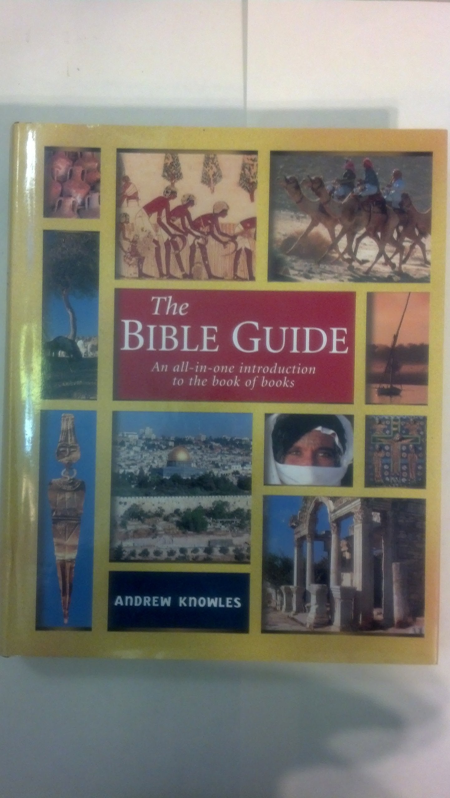 The Bible Guide: An All In One Introduction To The Book Of Books,New