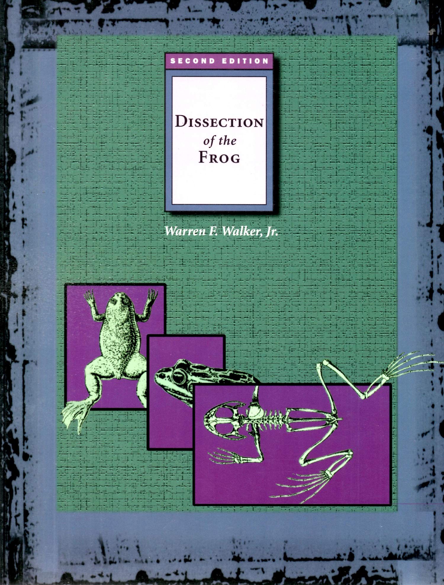 Dissection of the Frog,New