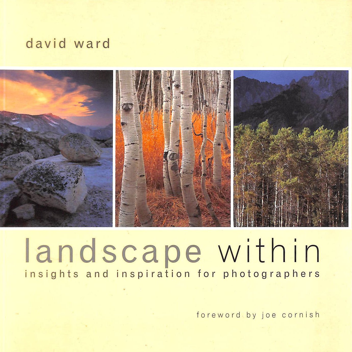 Landscape Within: Insights and Inspirations for Photographers,Used