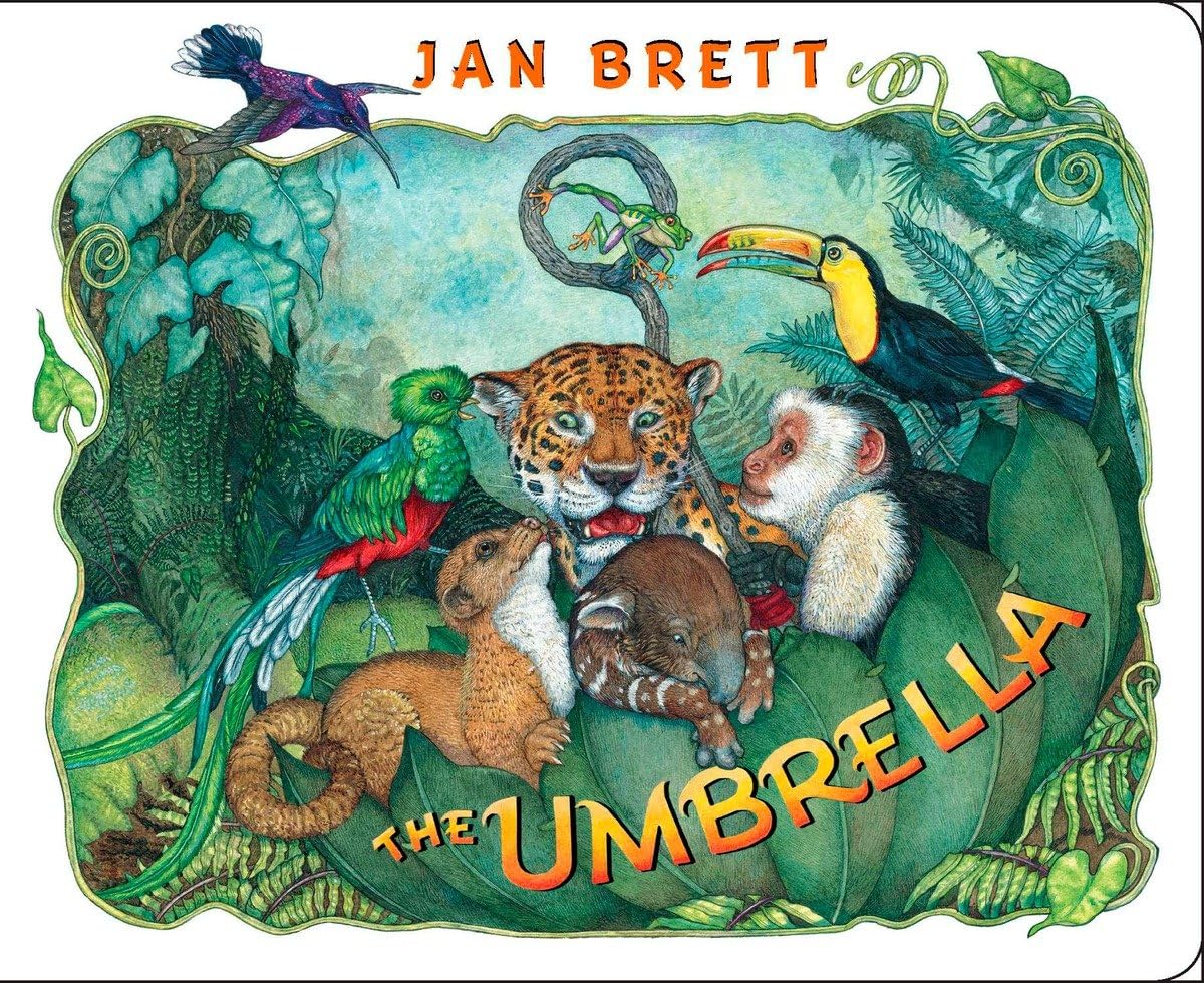 The Umbrella: board book,Used