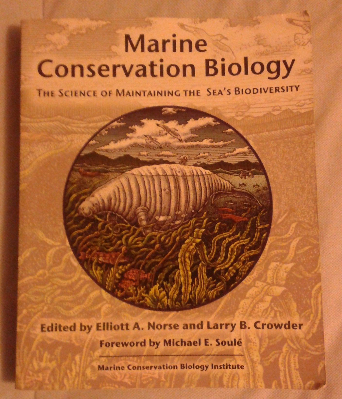 Marine Conservation Biology: The Science of Maintaining the Sea's Biodiversity,Used