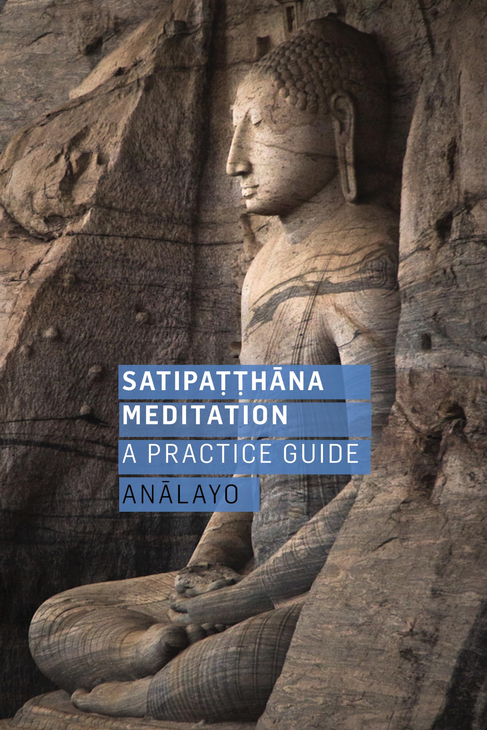 Satipatthana Meditation: A Practice Guide,Used