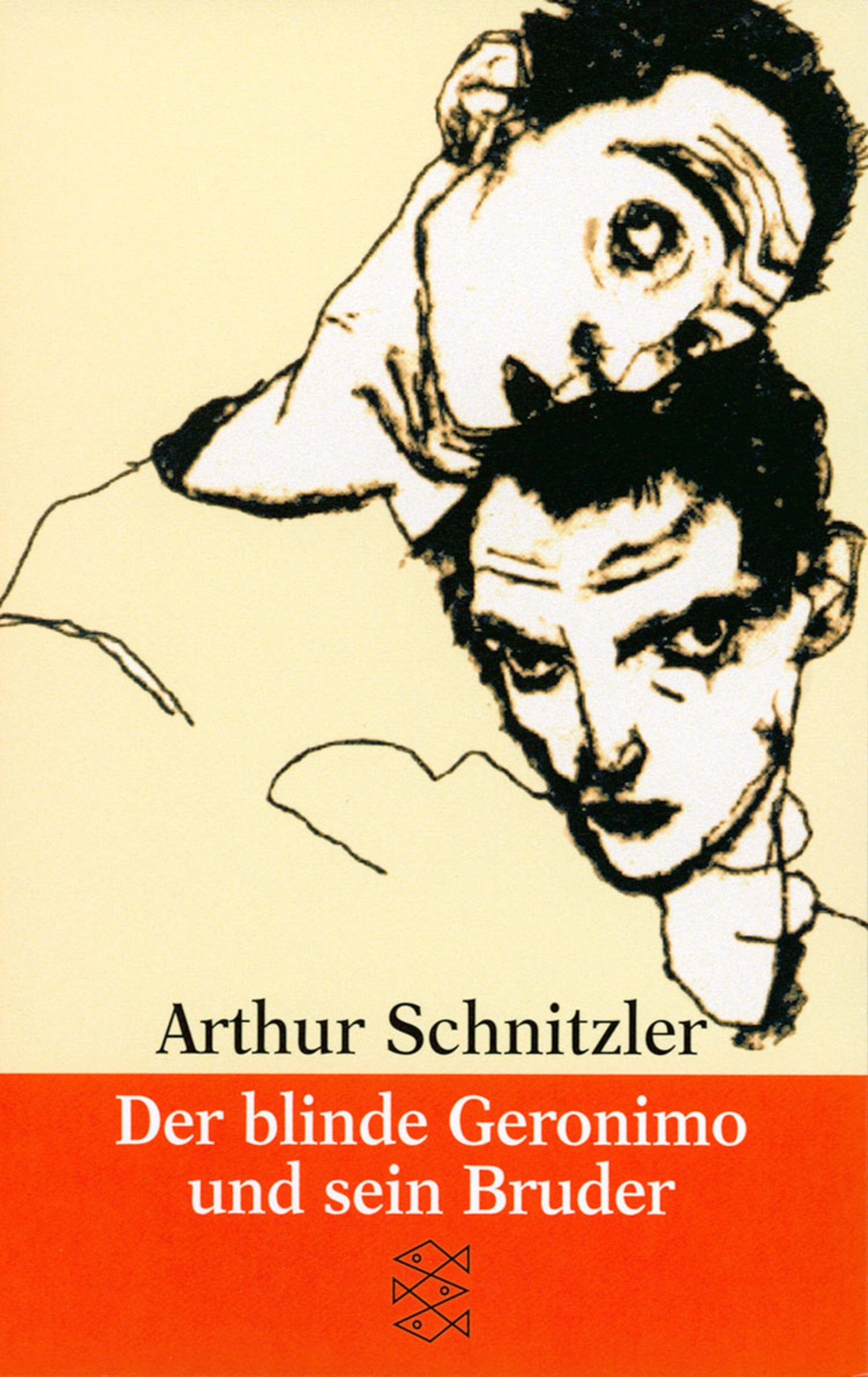 Der Blinde Geronimo Und Sein Brueder. Erzaehlungen (English And German Edition),Used