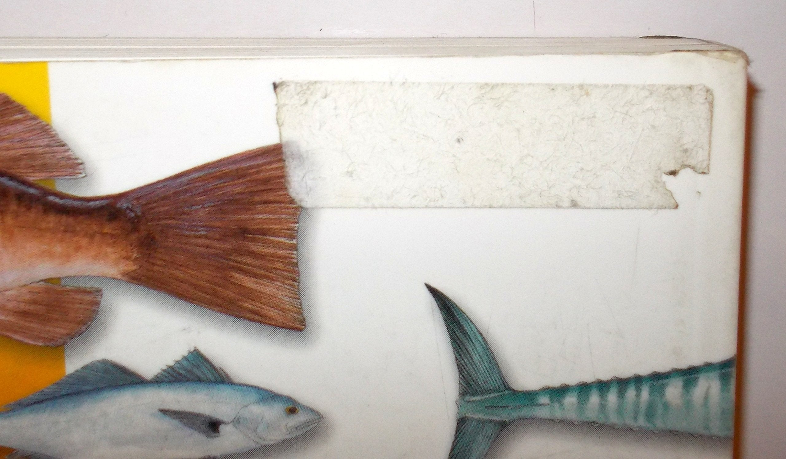 Intermedia Outdoors Sport Fish of The Pacific Book,Used