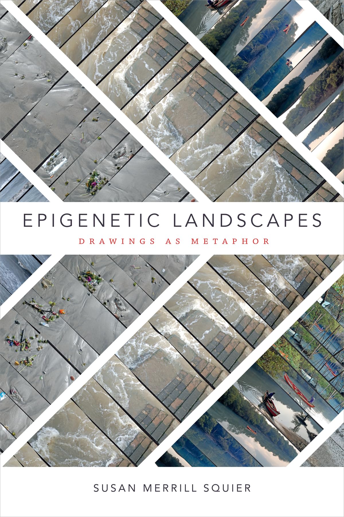 Epigenetic Landscapes: Drawings As Metaphor,Used
