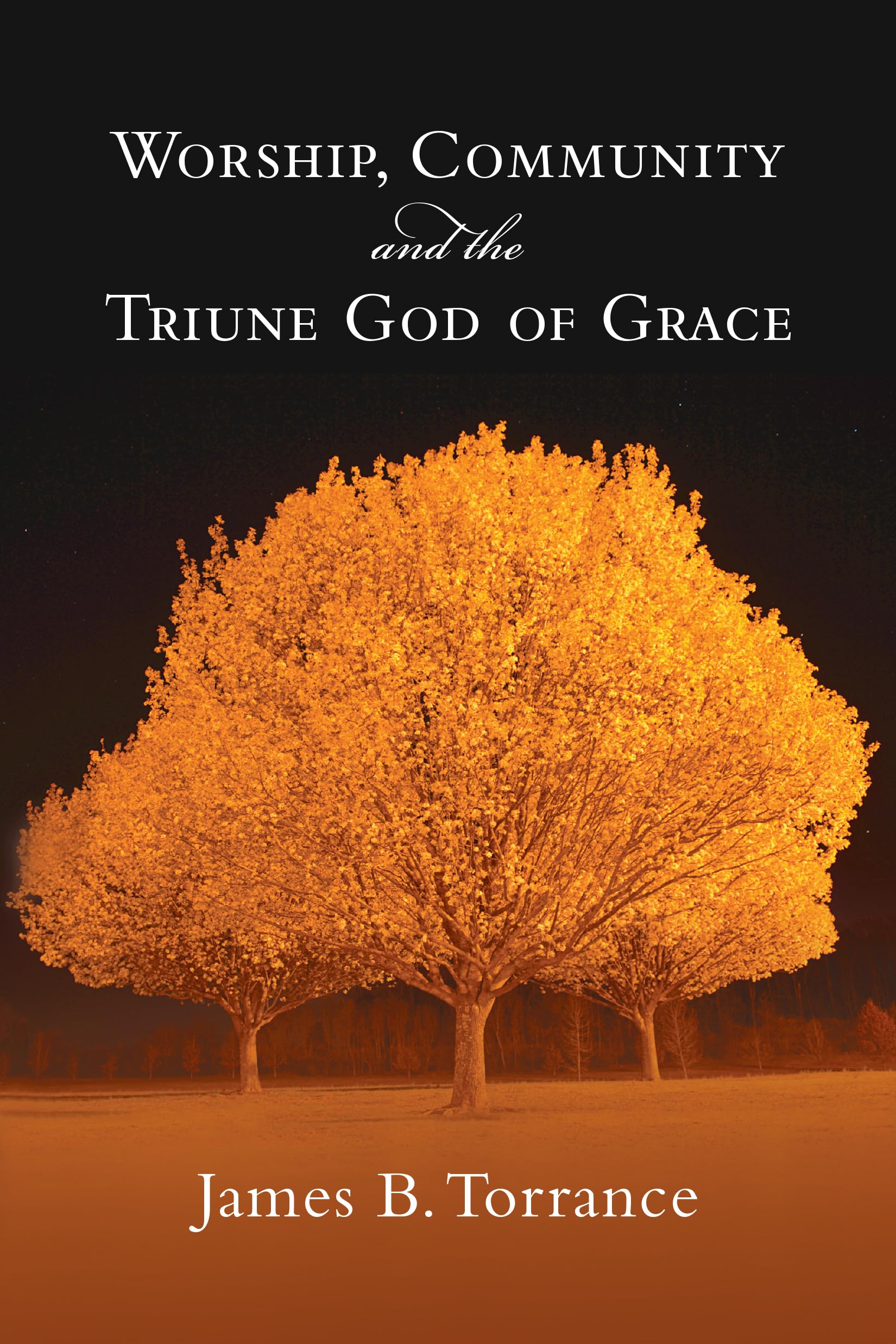 Worship, Community and the Triune God of Grace,New