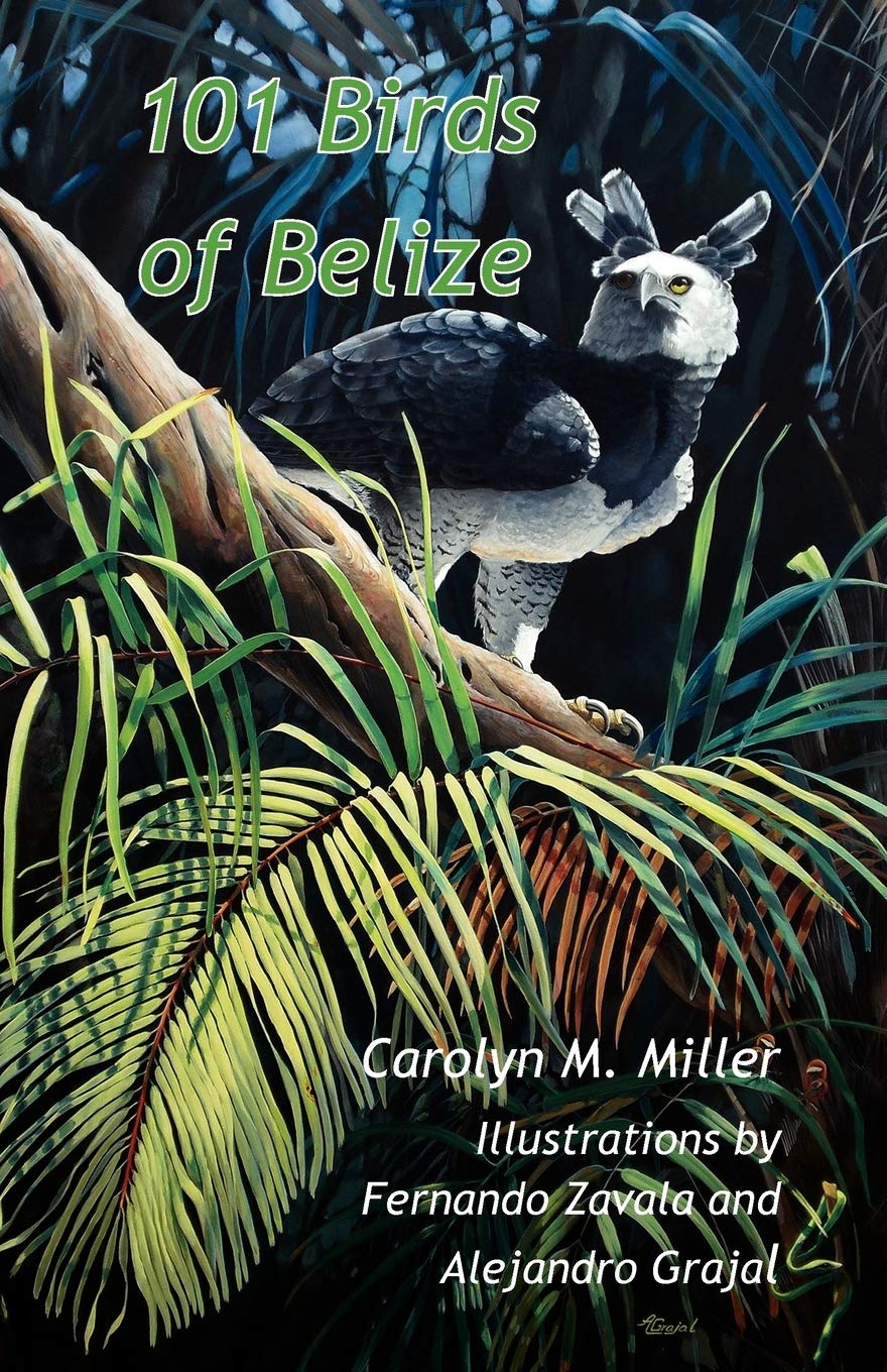 101 Birds of Belize,Used