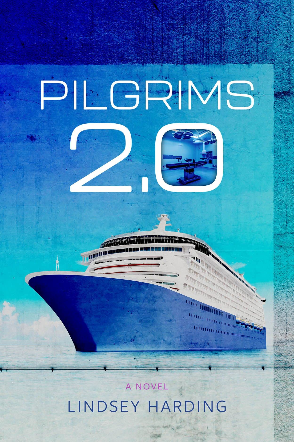 Pilgrims 2.0: A Novel,New