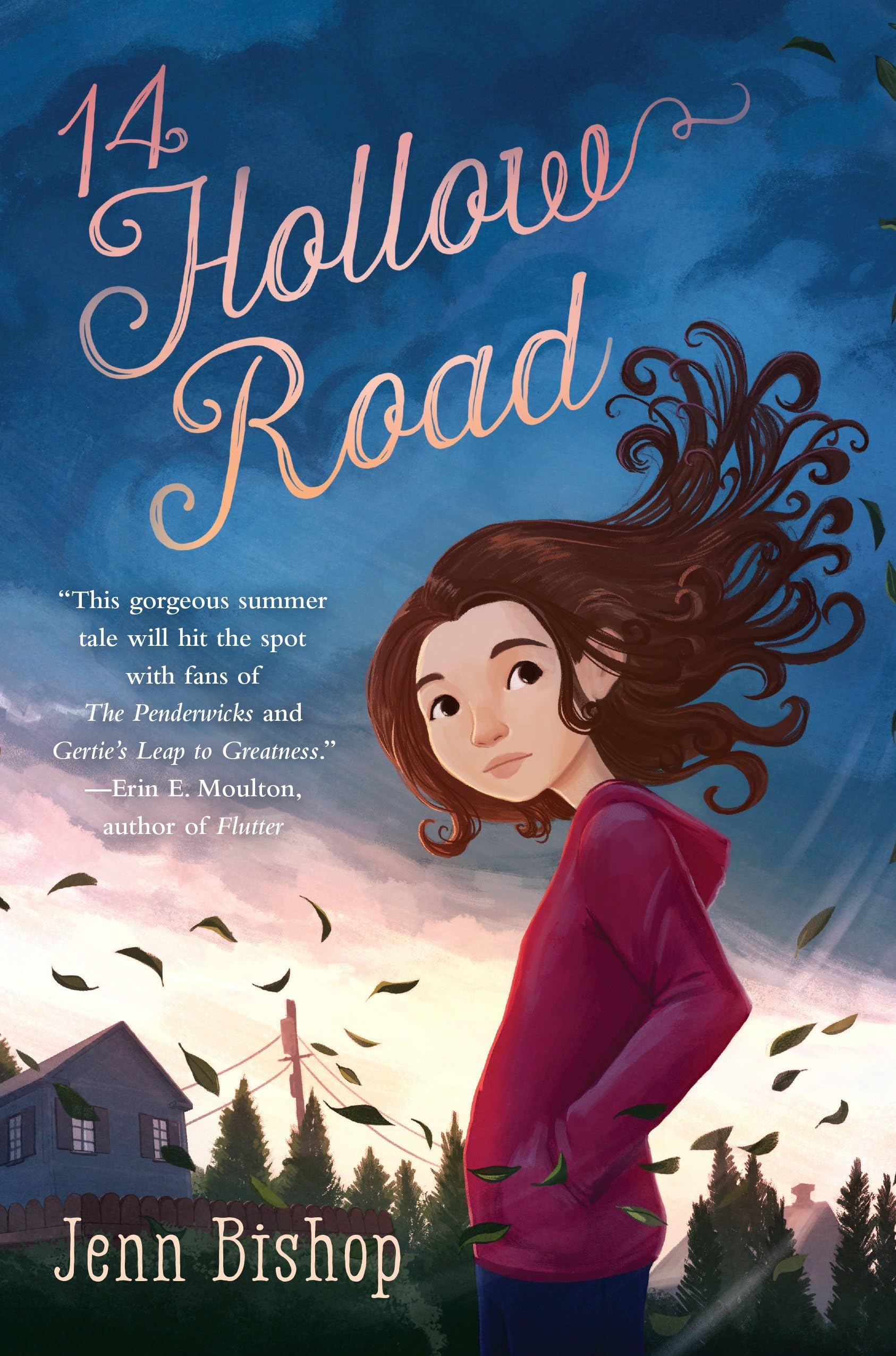 14 Hollow Road,Used