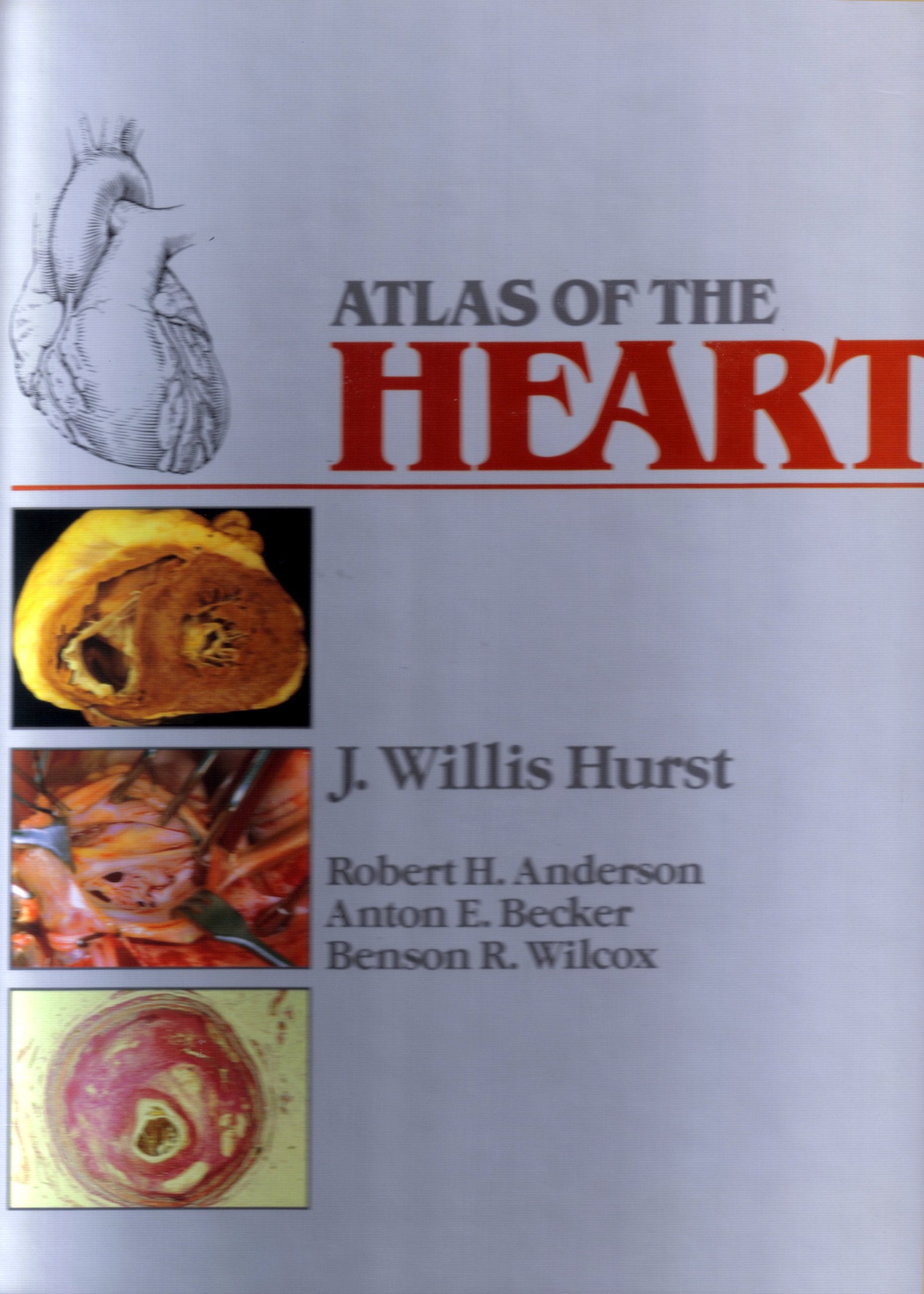 Atlas Of The Heart,New