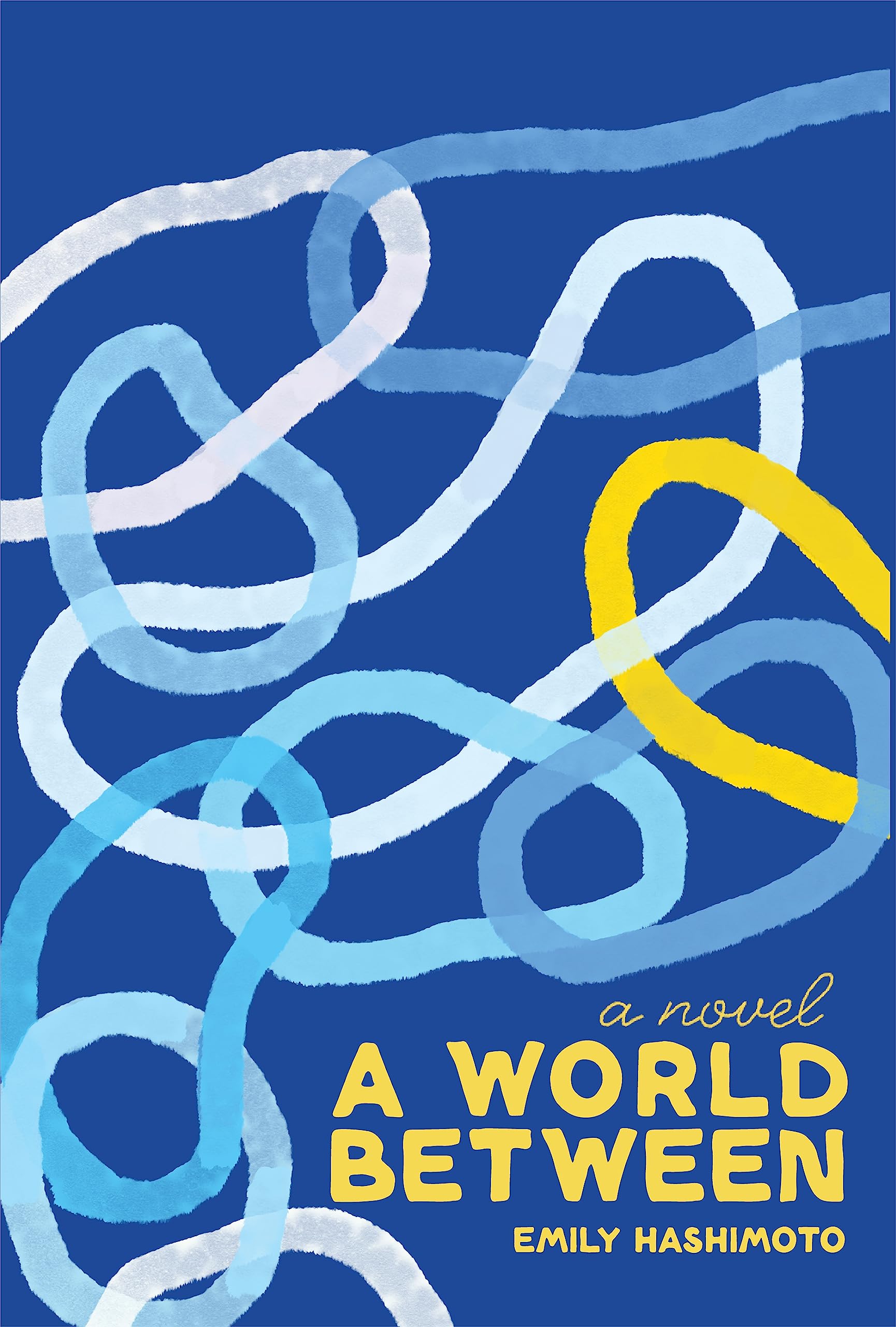 A World Between: A Novel,Used