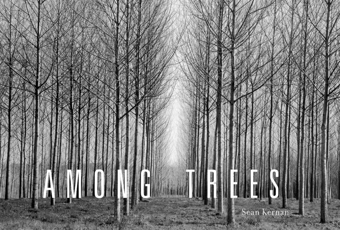 Among Trees,Used