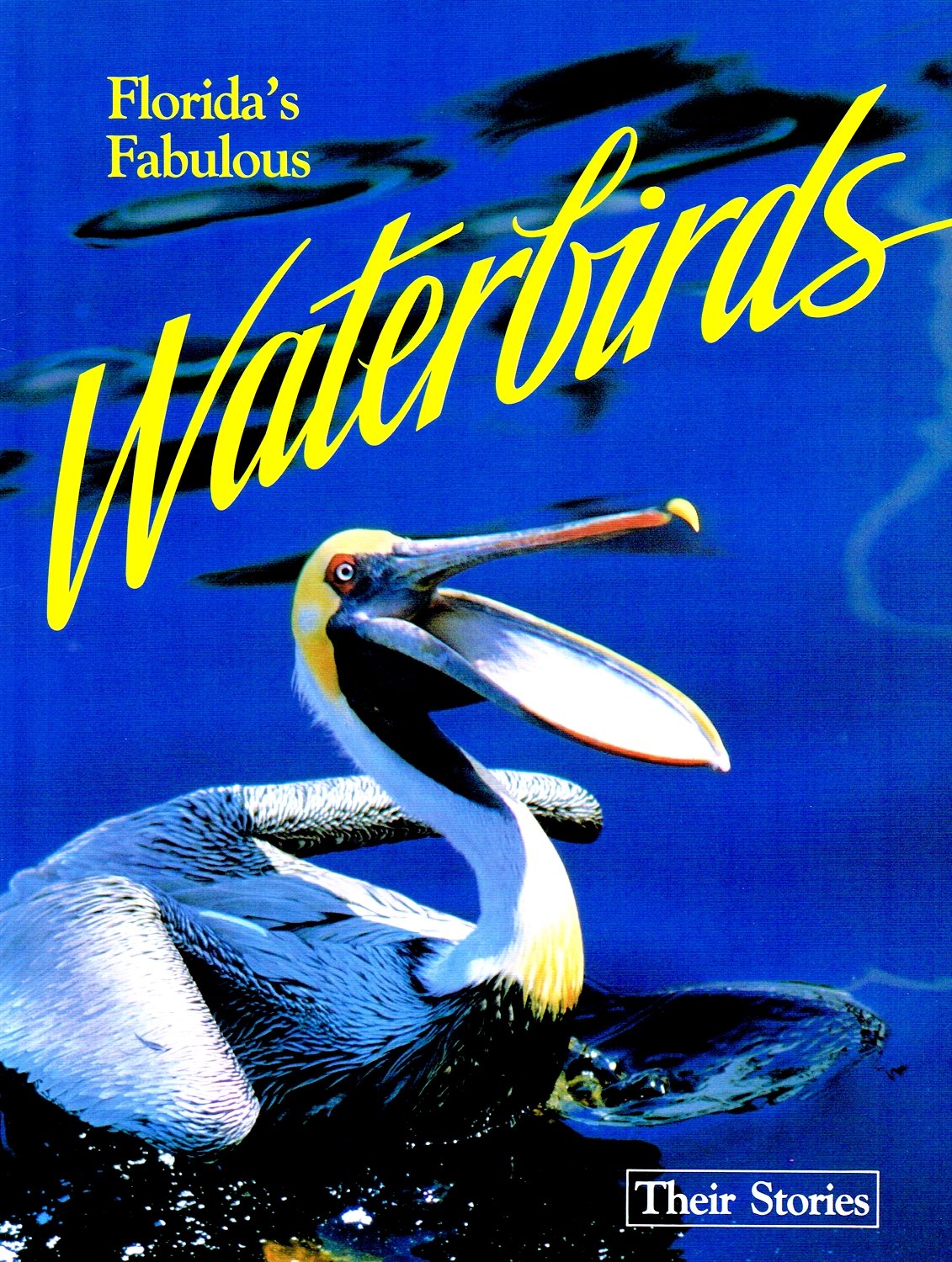 Florida's Fabulous Waterbirds: Their Stories,Used